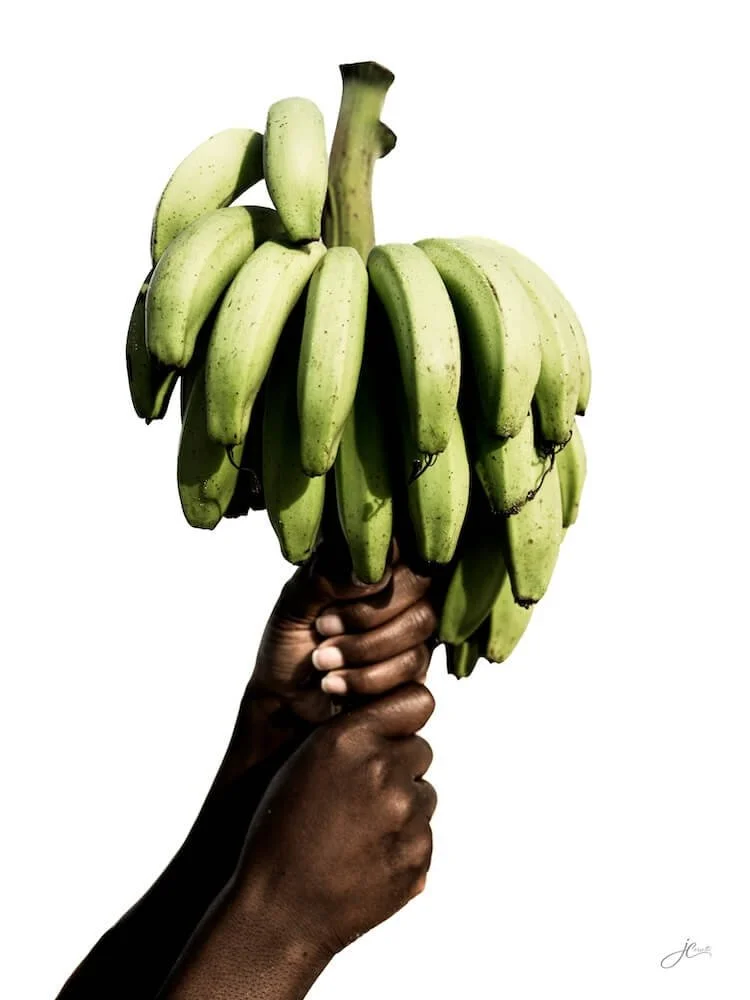 julie-corsetti-art-week-2026-2-hands-banana-portrait.jpg