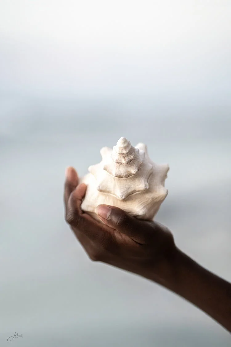 julie-corsetti-art-week-2026-22-hand-conch-shell.jpg