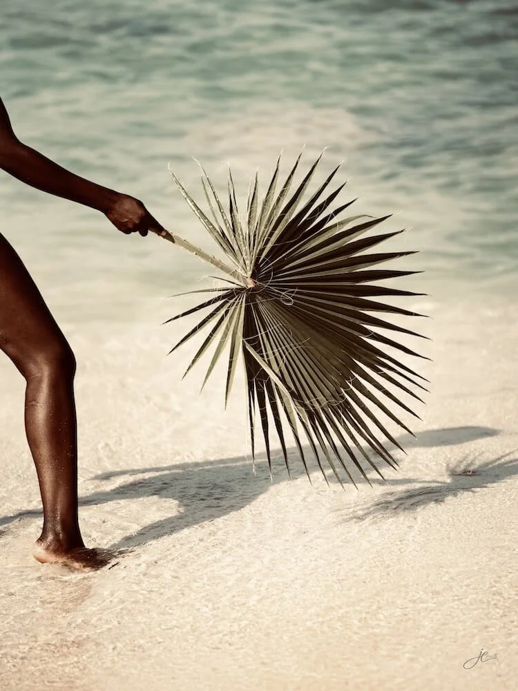 julie-corsetti-art-week-2026-3-beach-palm.jpg