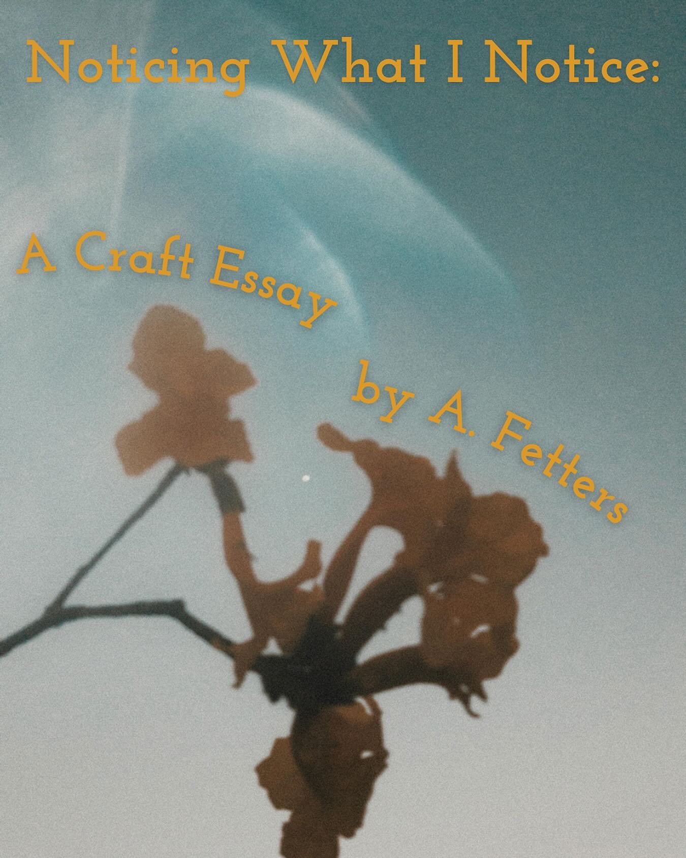 &ldquo;The timer buzzes. I turn the picture facedown. My kids take turns answering the simple, alchemical questions I learned from a mentor: What did you see? What did you notice?&rdquo;

Read the whole craft essay by A. Fetters on the AR site. 💛
