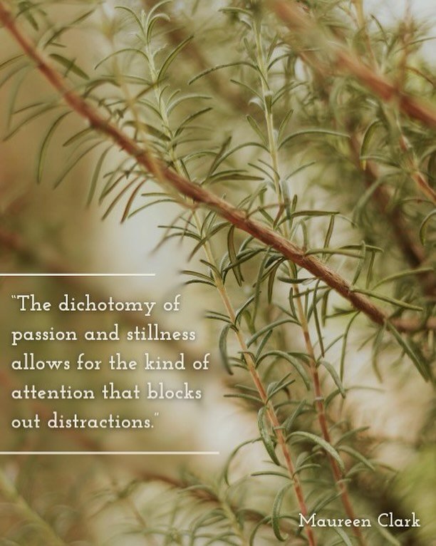 &ldquo;The dichotomy of passion and stillness allows for the kind of attention that blocks out distractions. It invites me to think in terms of concrete detail, rather than emotional ideas. The passion invites me to let go of controlling where that p