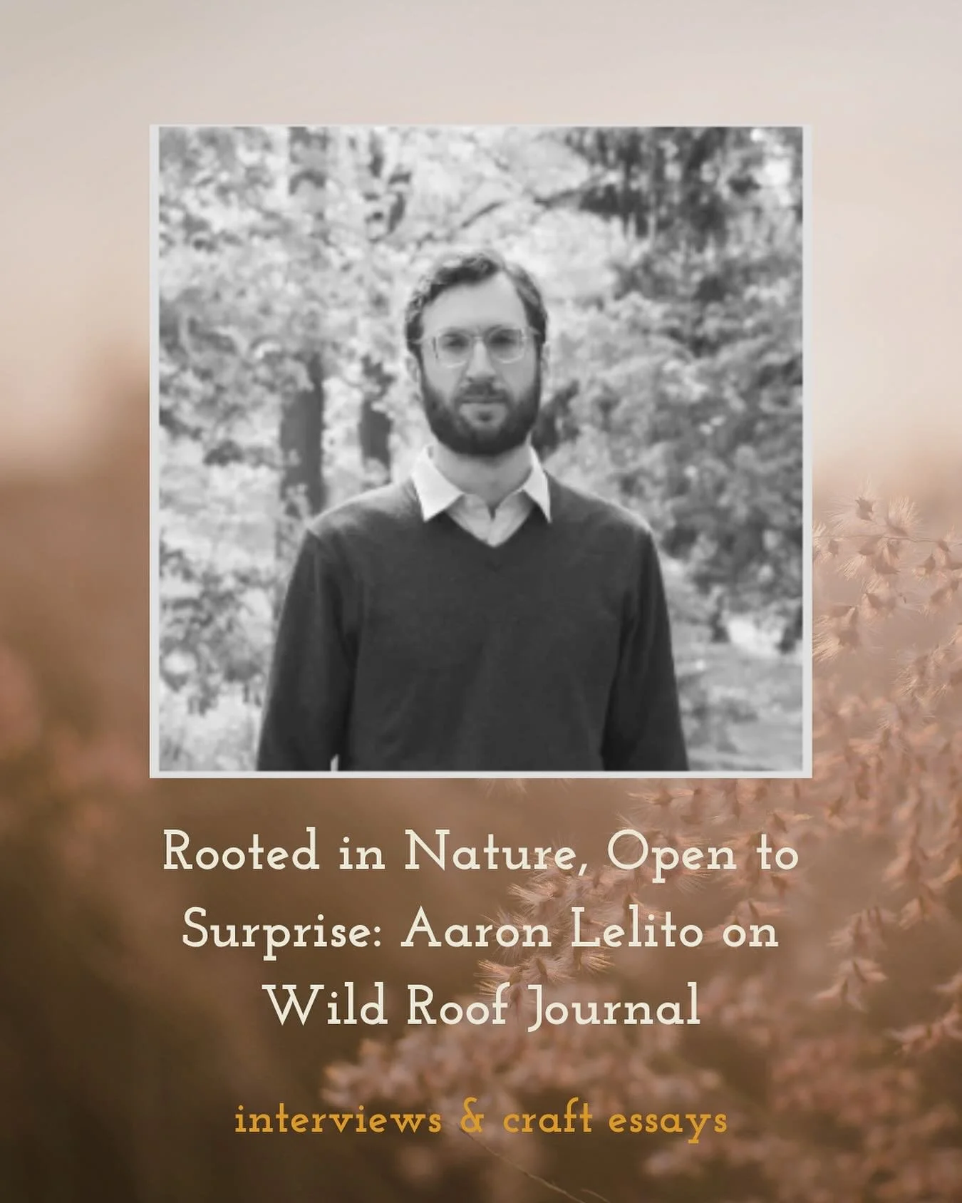This month, we&rsquo;re bringing you a conversation with @wildroofjournal founding editor Aaron Lelito. Since its inception, Wild Roof has carved out a distinctive space in the literary landscape&mdash;one that celebrates nature writing in all its fo
