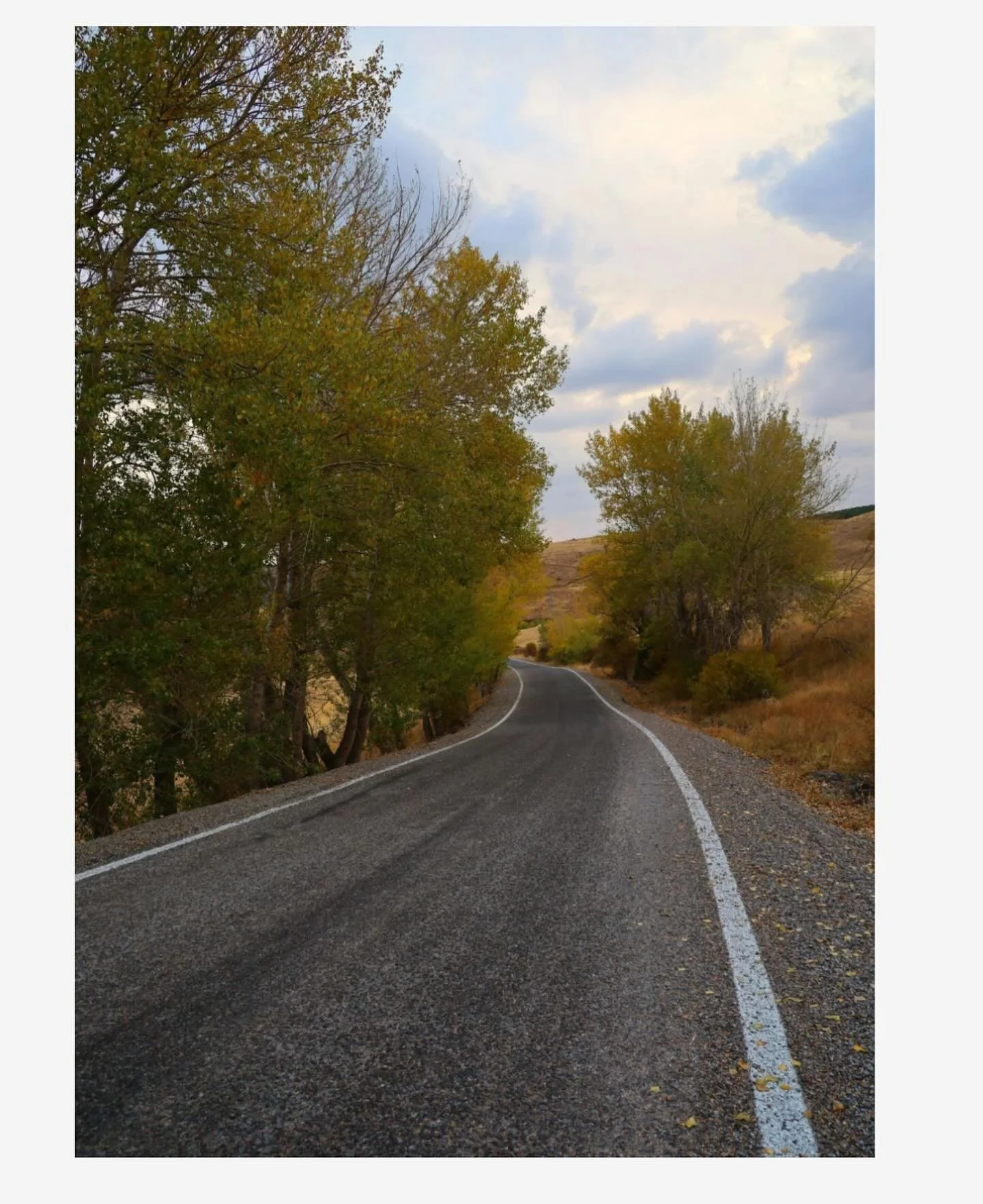Chris Dungey

Kernels
Faded brown, wind-borne helix
of corn leaves snake across 
asphalt ahead of your hike for fresh
air in the waning daylight. Now 
that cloud of chaff down the road,
the grinding mastication of a harvester
makes sense. Two dump-tr