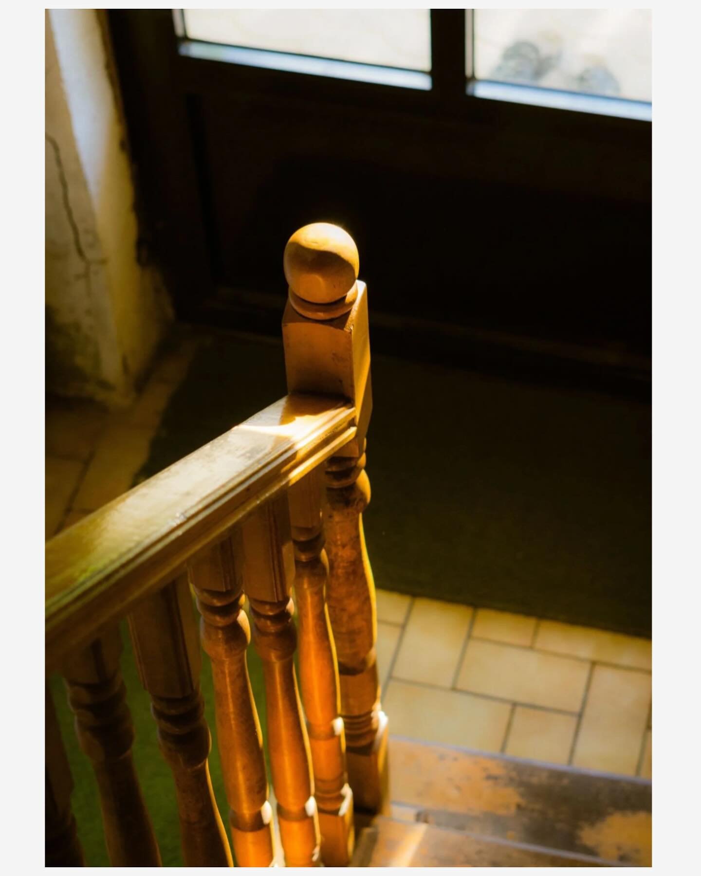 Carole Greenfield
Cake

&ldquo;Zao says, &lsquo;It&rsquo;s a piece of cake,&rsquo; looks at me, adds, &lsquo;Something hard is a giant piece of cake.&rsquo; Slides down stairwell bannisters while I try to keep up, trotting as fast as I can but he bea
