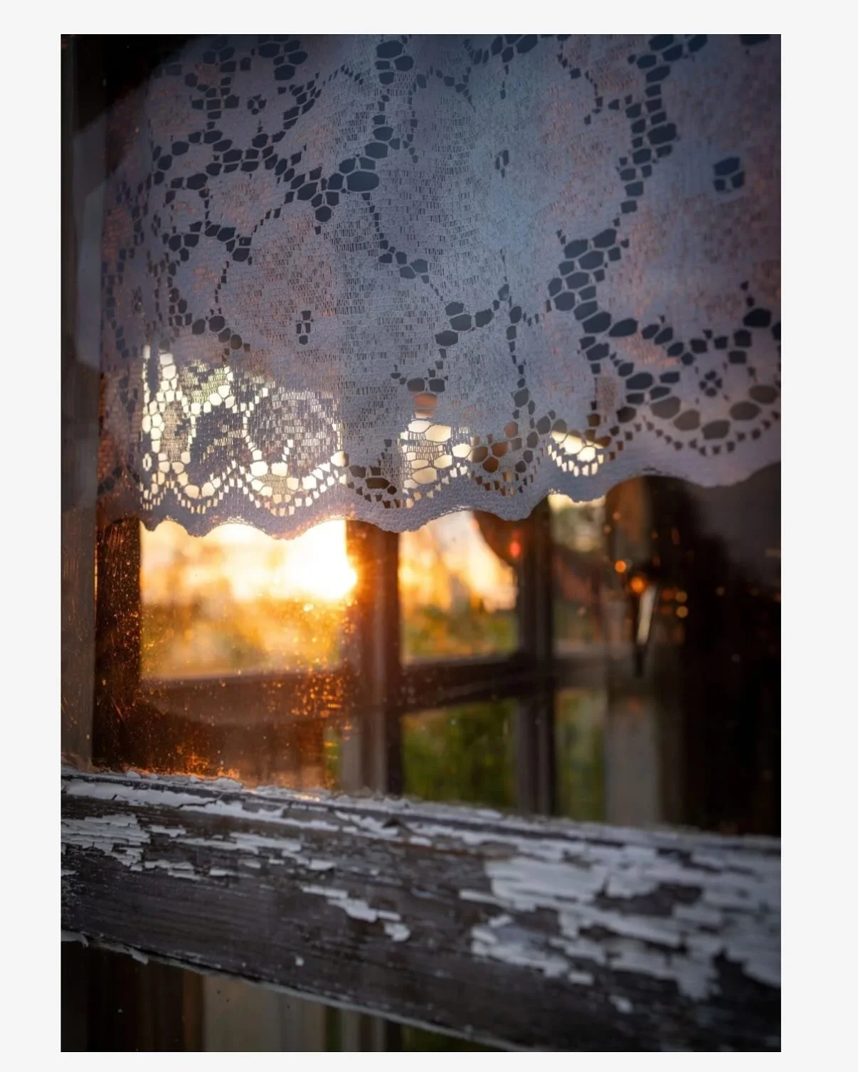 &ldquo;The daylight dissipates again, aloof, casual as always out there beyond the door, still she
gathers her children from sofas, forces them in front of the window they never asked
for, why would they, after all, sand was turned to glass ages ago&
