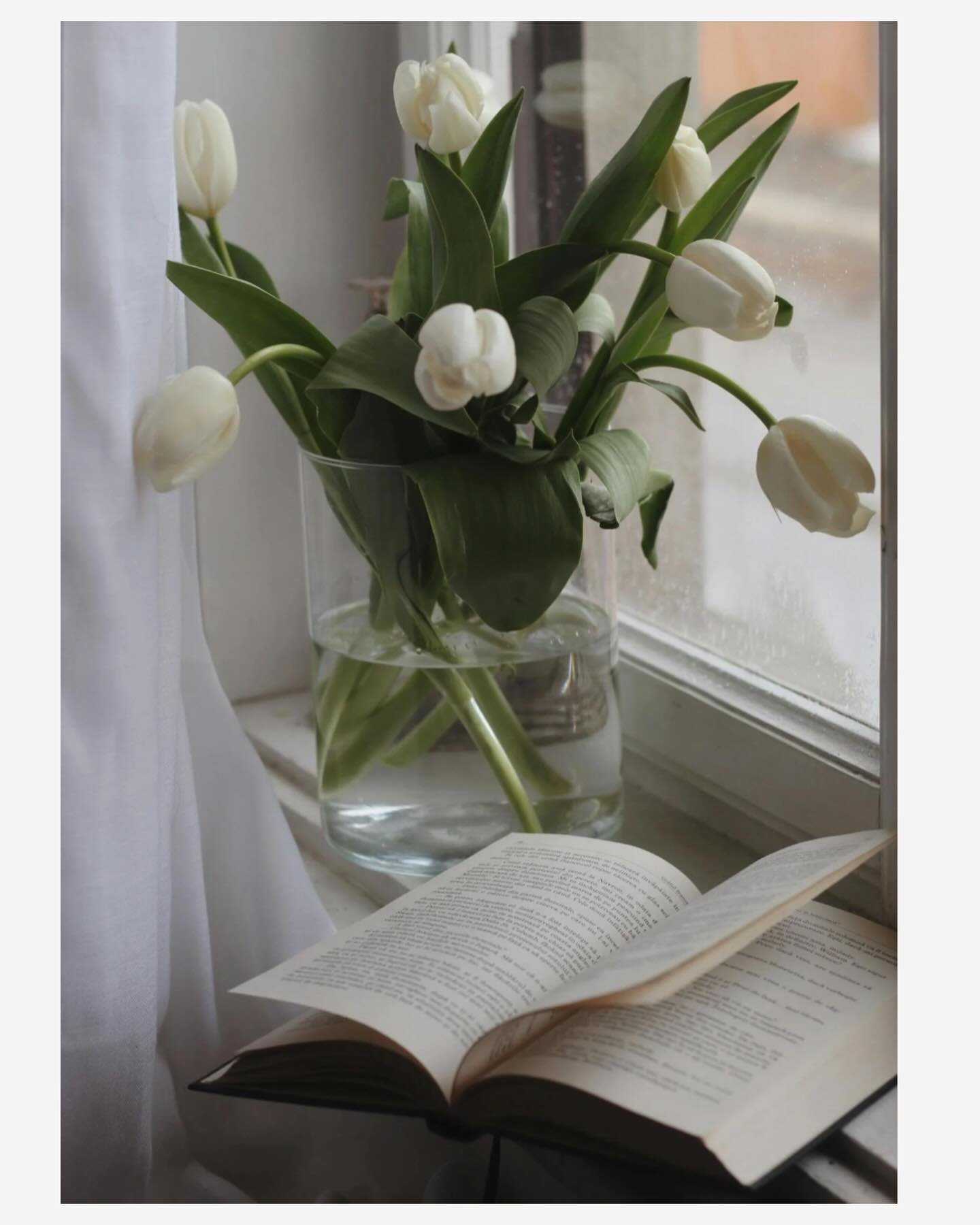 &ldquo;My coffin will be filled with books&mdash;
poems, novels, a history of wars
that never ended.&ldquo;

- &ldquo;My Coffin&rdquo; William Miller in the summer folio of AR
