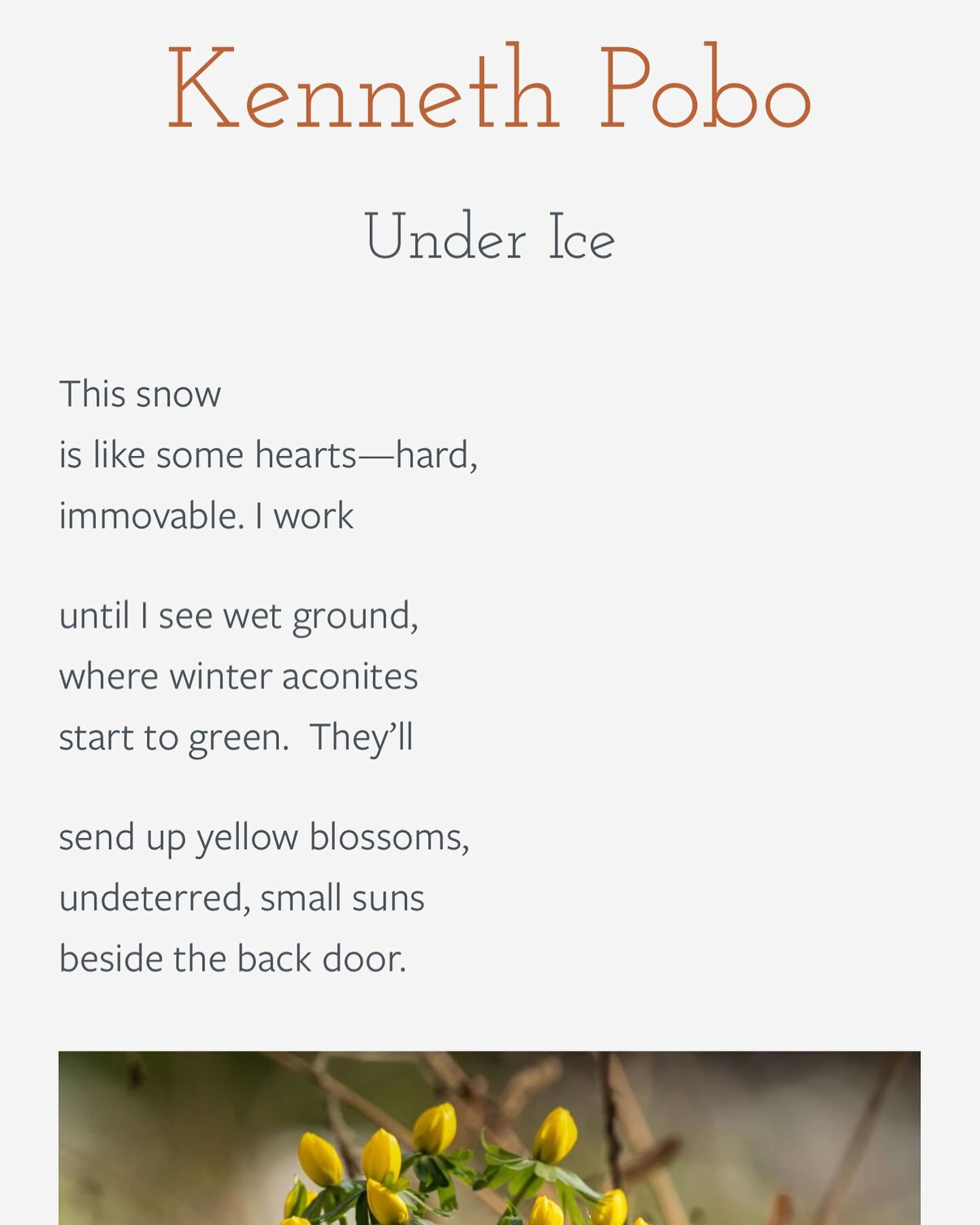 &ldquo;This snow 
is like some hearts&mdash;hard,
immovable.&ldquo;

- &ldquo;Under Ice&rdquo; Kenneth Pobo
Summer folio, AR