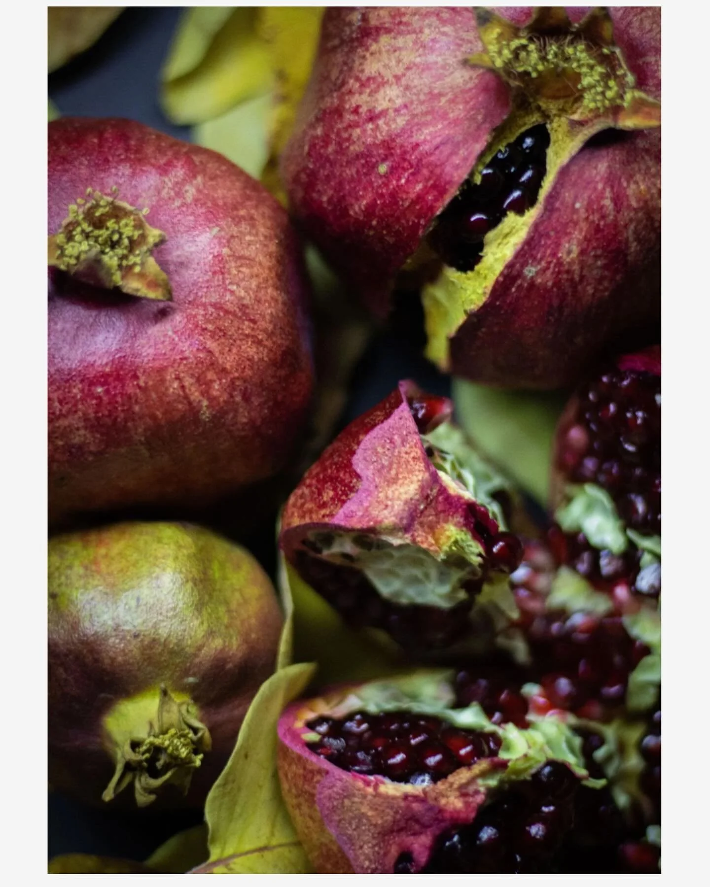 Holly G. Thompson
&ldquo;Shame&rdquo;
Published in AR&rsquo;s Summer Folio

&ldquo;It was probably a pomegranate, 
which matters only inasmuch as 
it&rsquo;s tart.&rdquo;