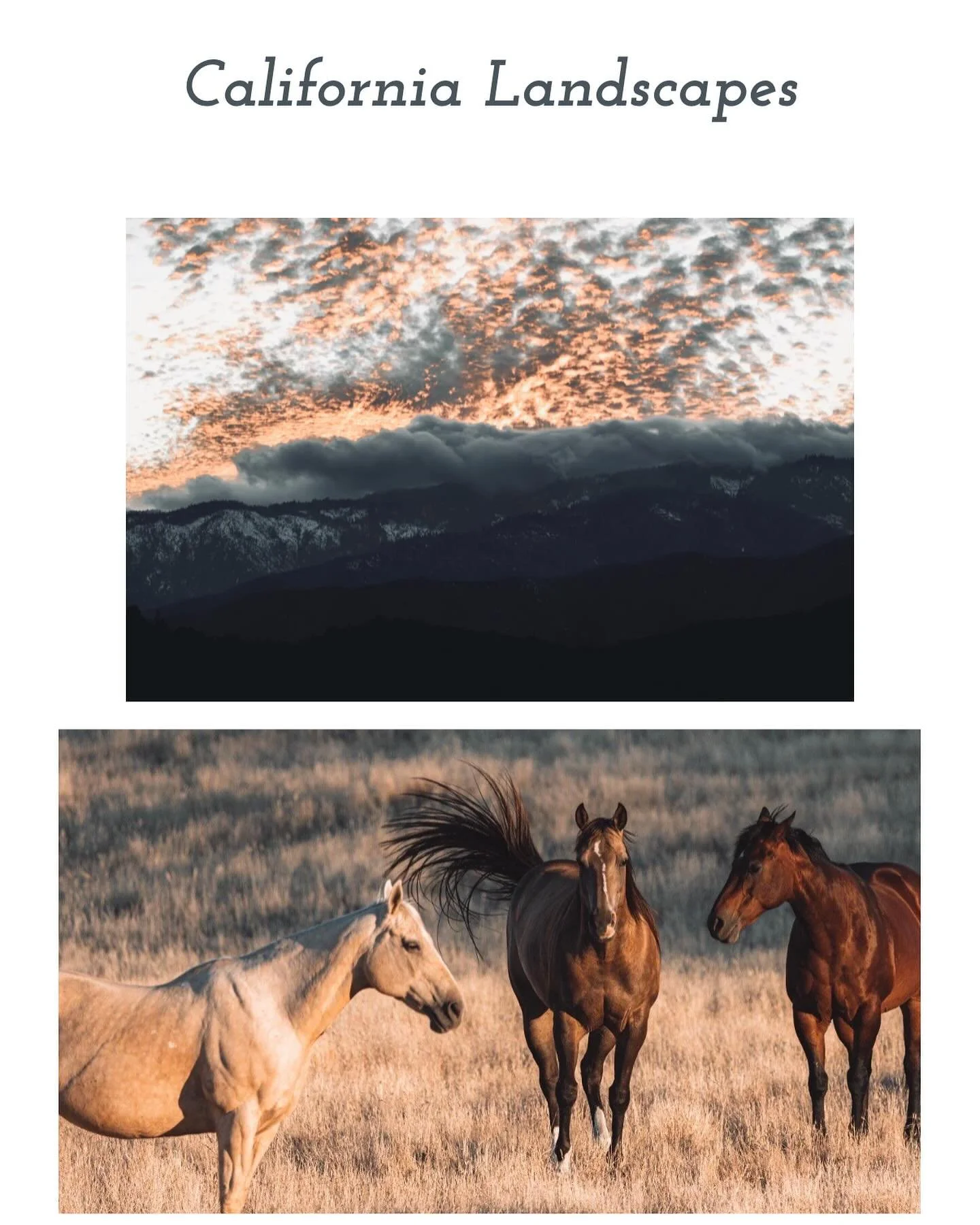 📷 Randall Hewes is a wildlife and landscape photographer based in Kern County, CA. 📷

Hewes&rsquo;s &ldquo;California Landscapes&rdquo; can be found in Issue 2, alongside so many talented artists and writers. We love the opportunity to publish phot