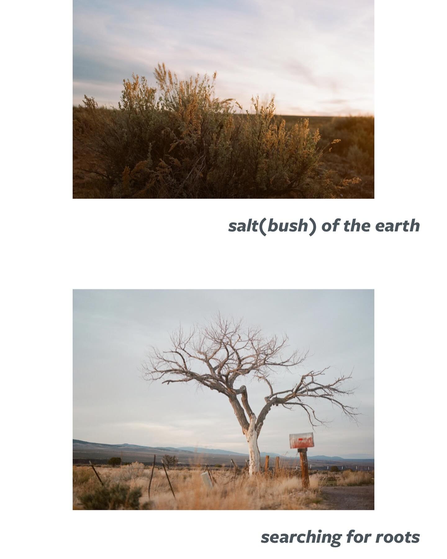 Andrew Ruiz is a photographer based in Northern California. He finds his passion in the contemplative practice of film photography with an eye towards the ethereal in the everyday, crafting subtle narratives in each frame. You can find Ruiz&rsquo;s w