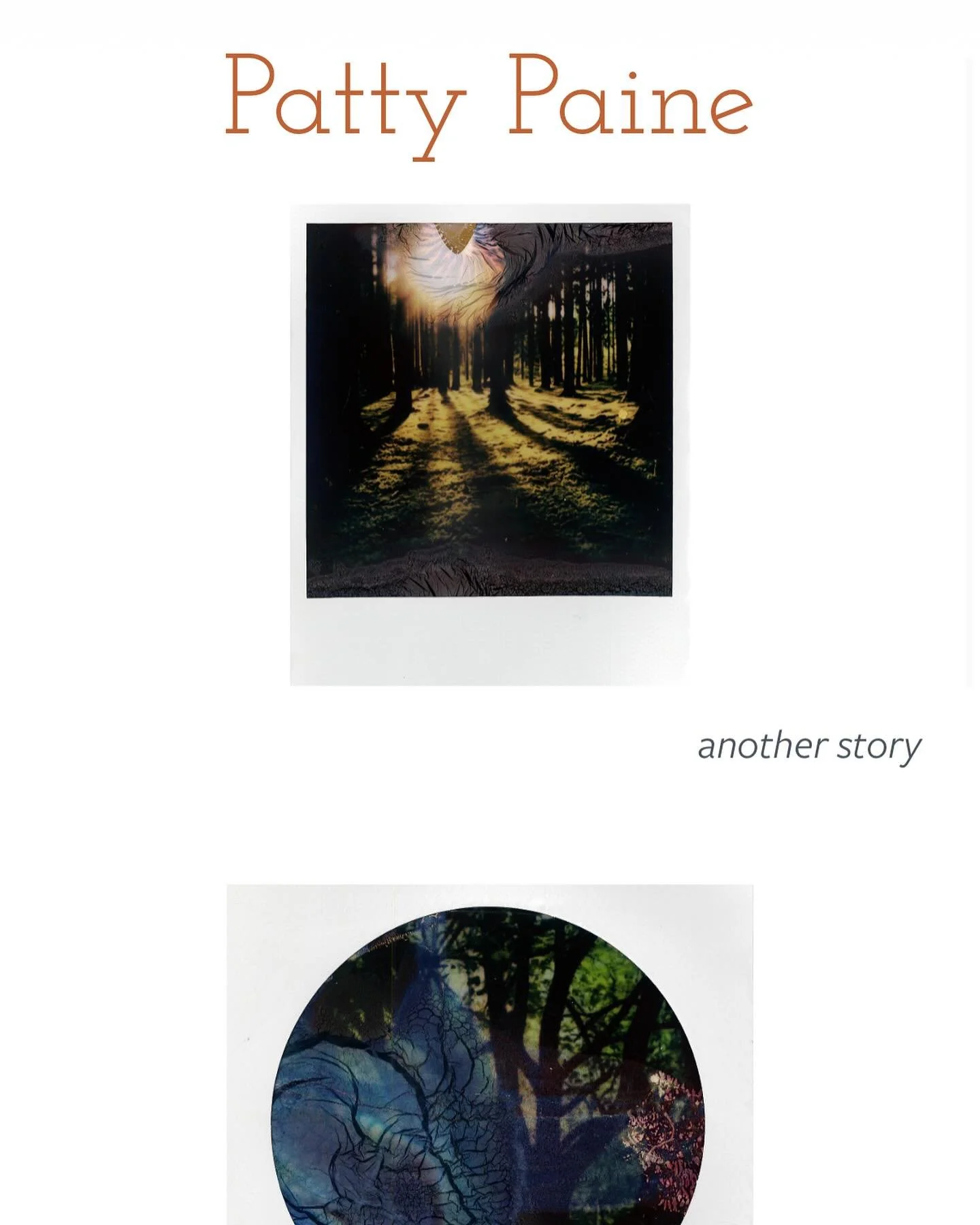 Patty Paine is the author of Grief &amp; Other Animals, The Sounding Machine, and three chapbooks. She is editor of Diode Poetry Journal, and Diode Editions, and is Director of Liberal Arts &amp; Sciences at VCUarts Qatar. Paine&rsquo;s work is in Is