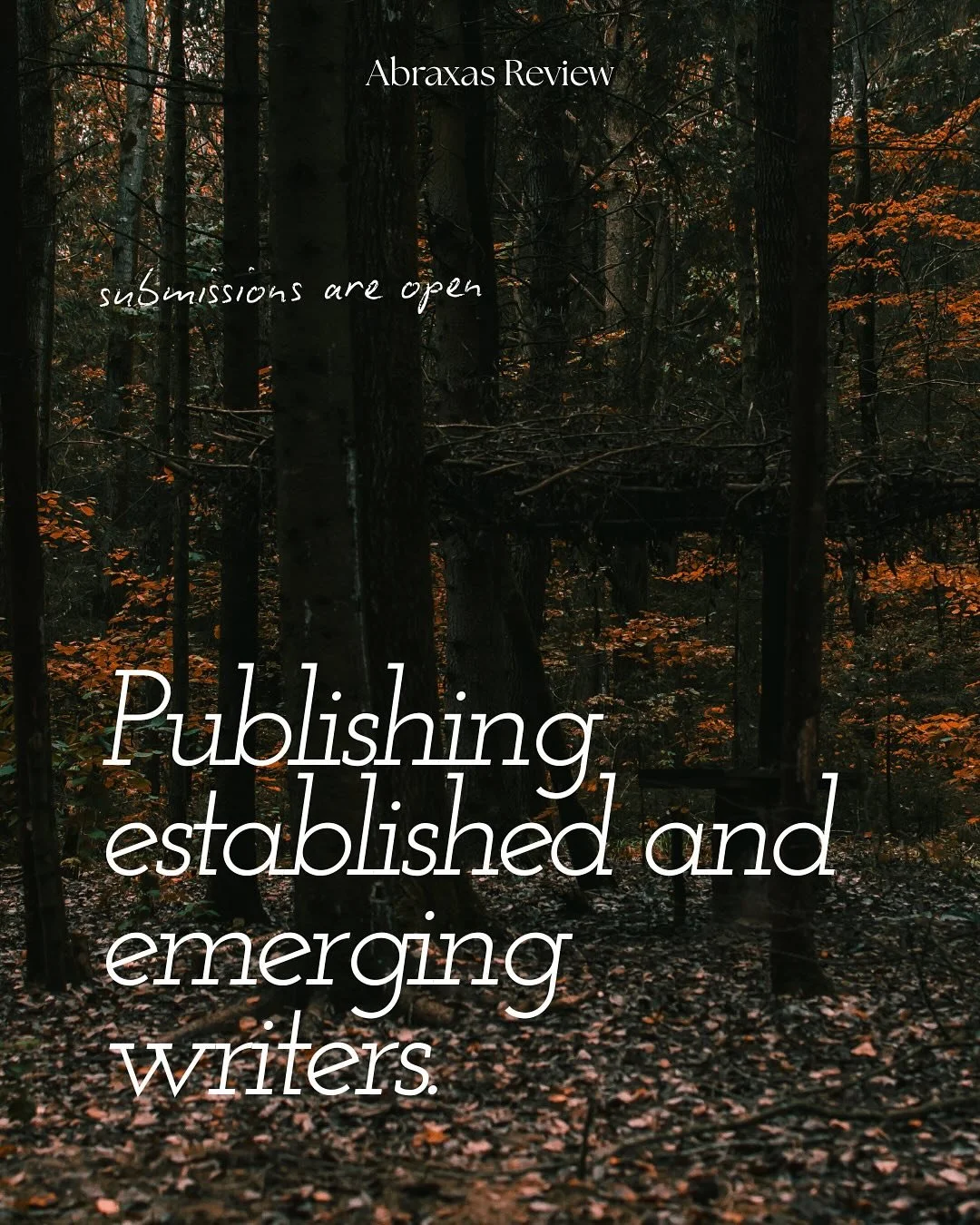 We publish a lot of prose and poetry in which writers connect to the world around them through astute observations and concrete images. There is something powerful about finding meaning and beauty in the mundane. Established, emerging, or somewhere i