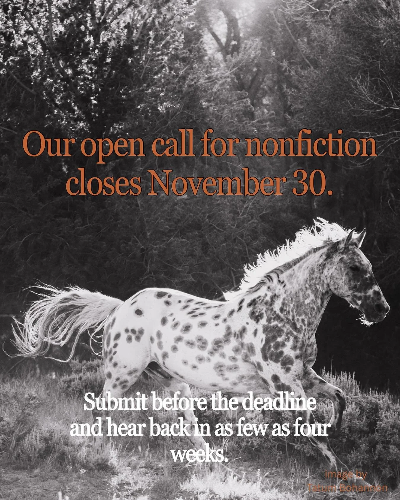 Get your nonfiction published this winter. Our open call closes November 30!