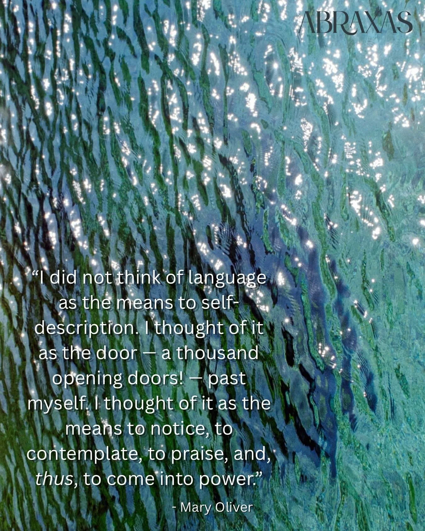 Mary Oliver-maxxing for the duration of fall, ya&rsquo;ll. Hope you&rsquo;ll join us in walking through the woods, looking at birds, sitting by water, and paying attention.
