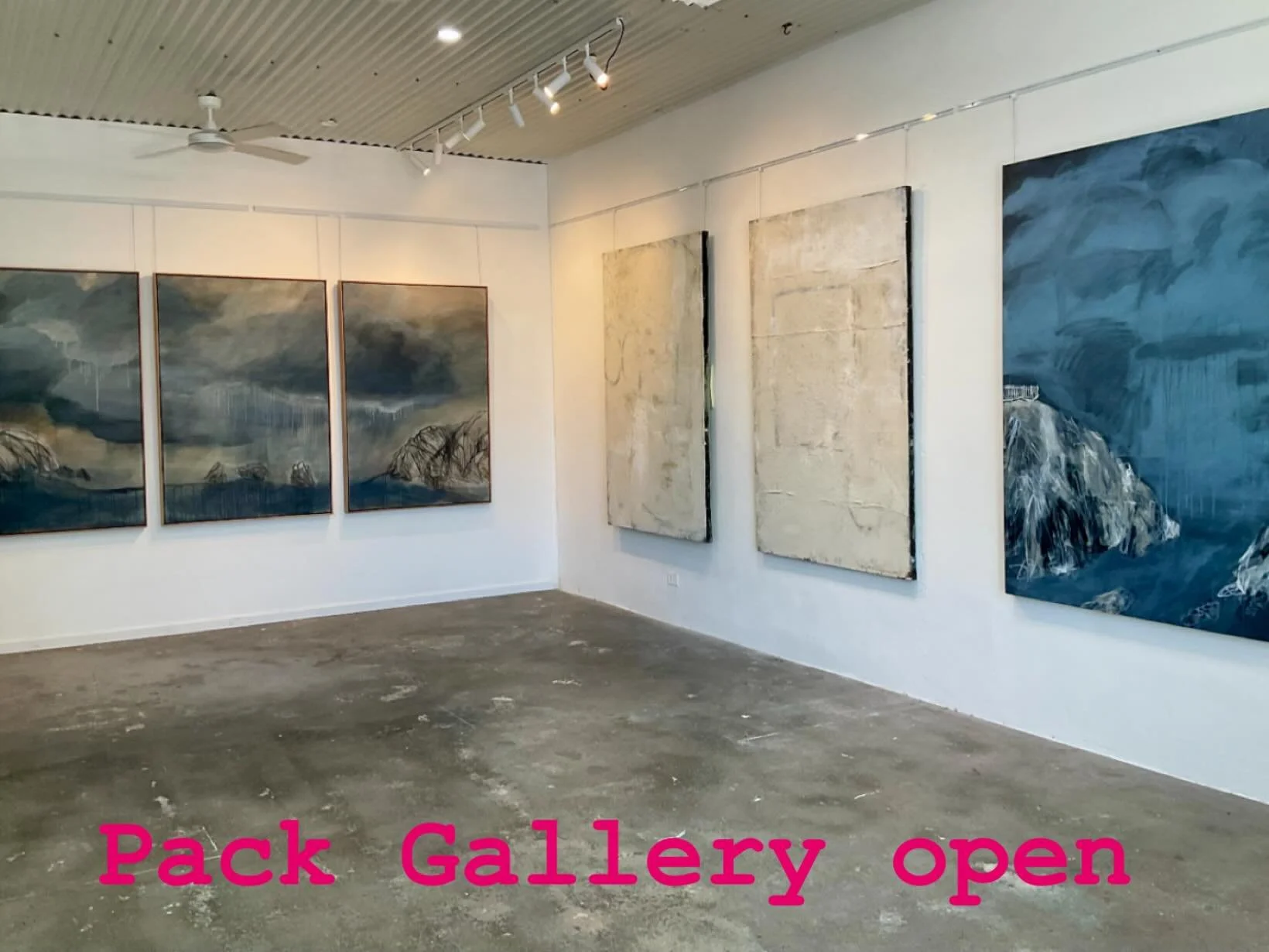 Pack Gallery will be open from 12 o&rsquo;clock today until 3 and will be open everyday this week 10 am- 3 pm except New Year&rsquo;s Day.