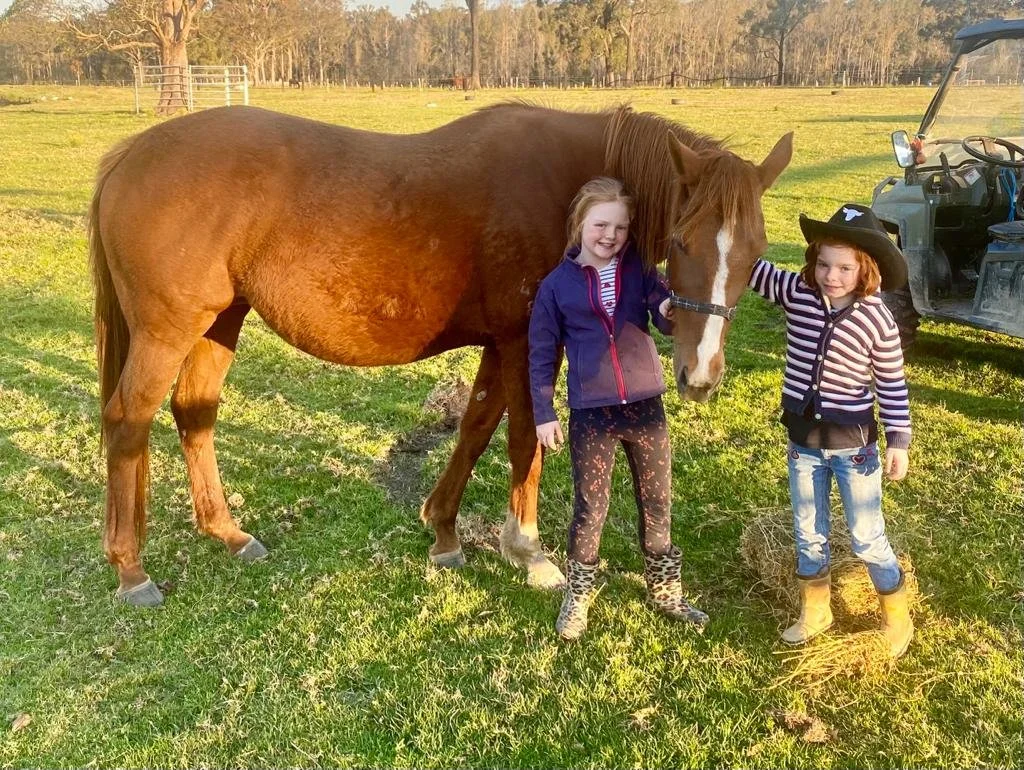 agistment-glenthorne-park-thoroughbreds