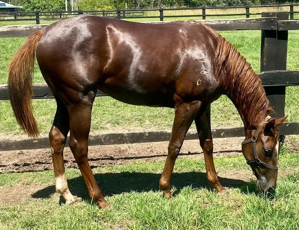 PHOTO-2023-03-02-17-50-23 3.jpg