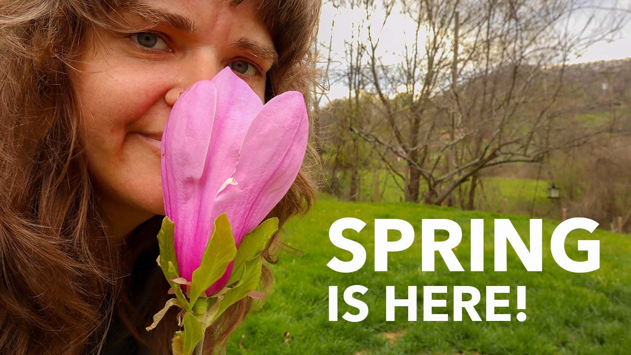 Springtime and Foraging in North Carolina