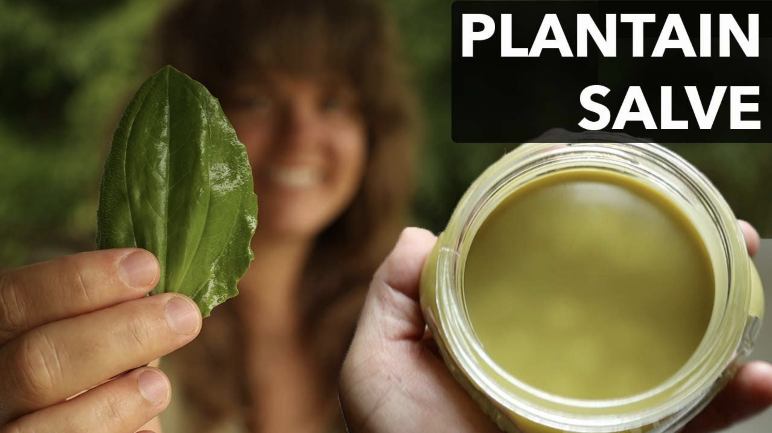 Making a Plantain Salve for Bug Bites