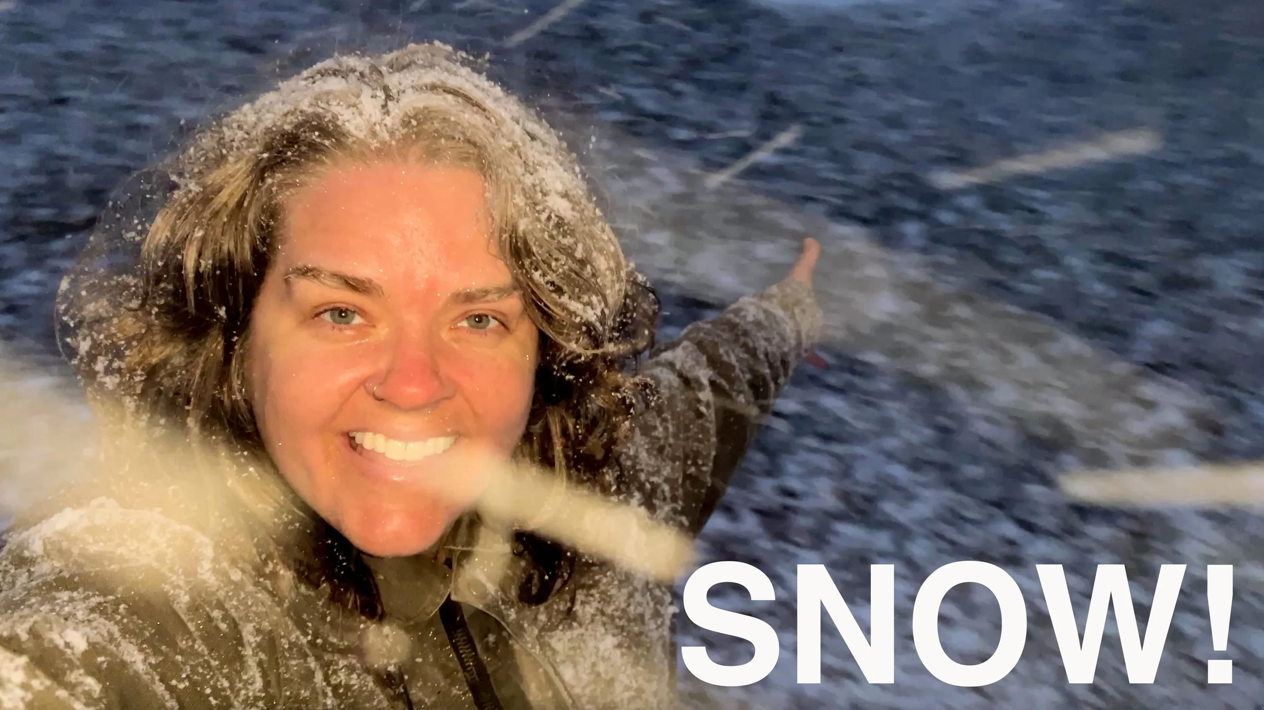 Winter in Western North Carolina Quiet Beauty, Wildlife, and First Snow