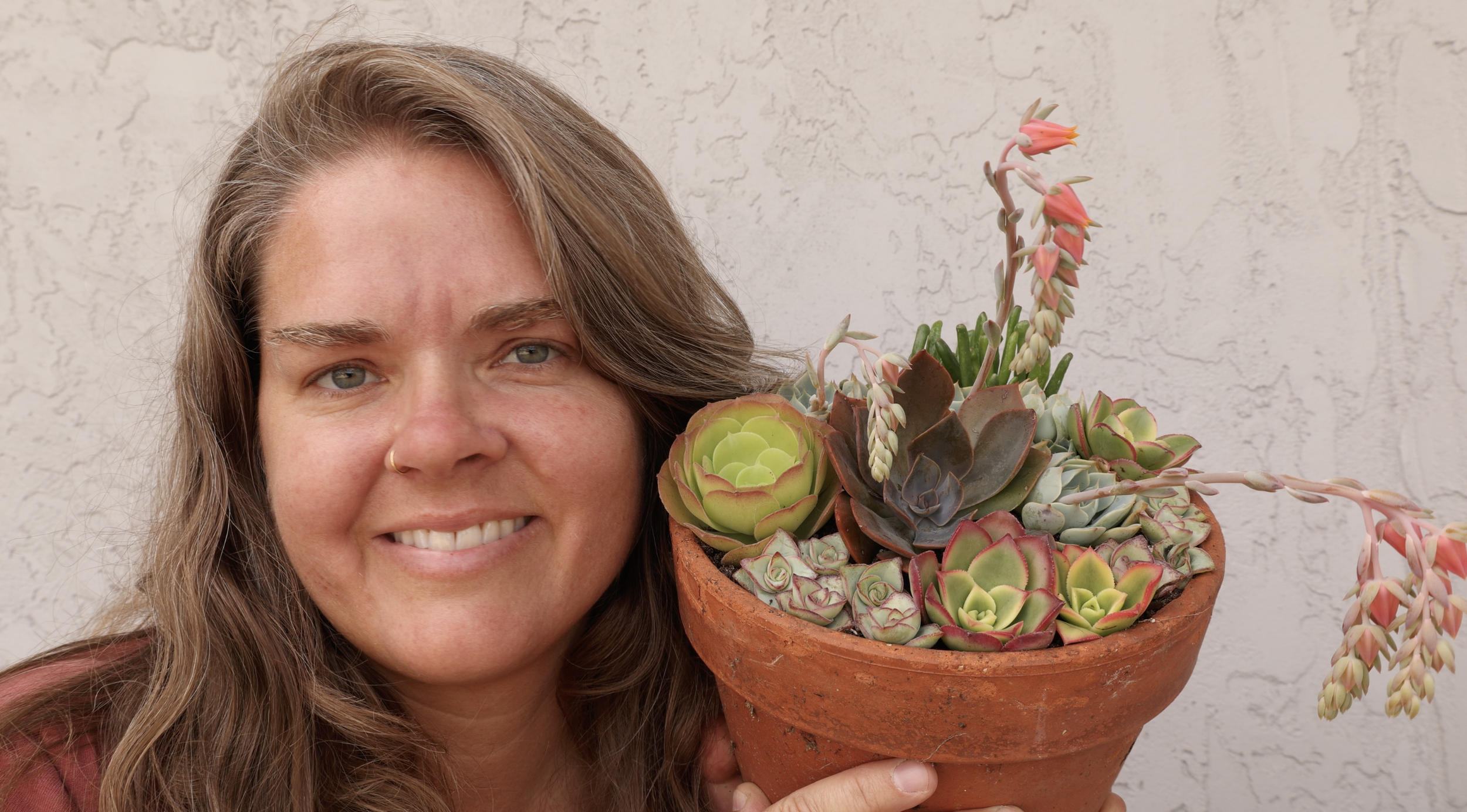 Making a Succulent Arrangement from (Mostly) Cuttings