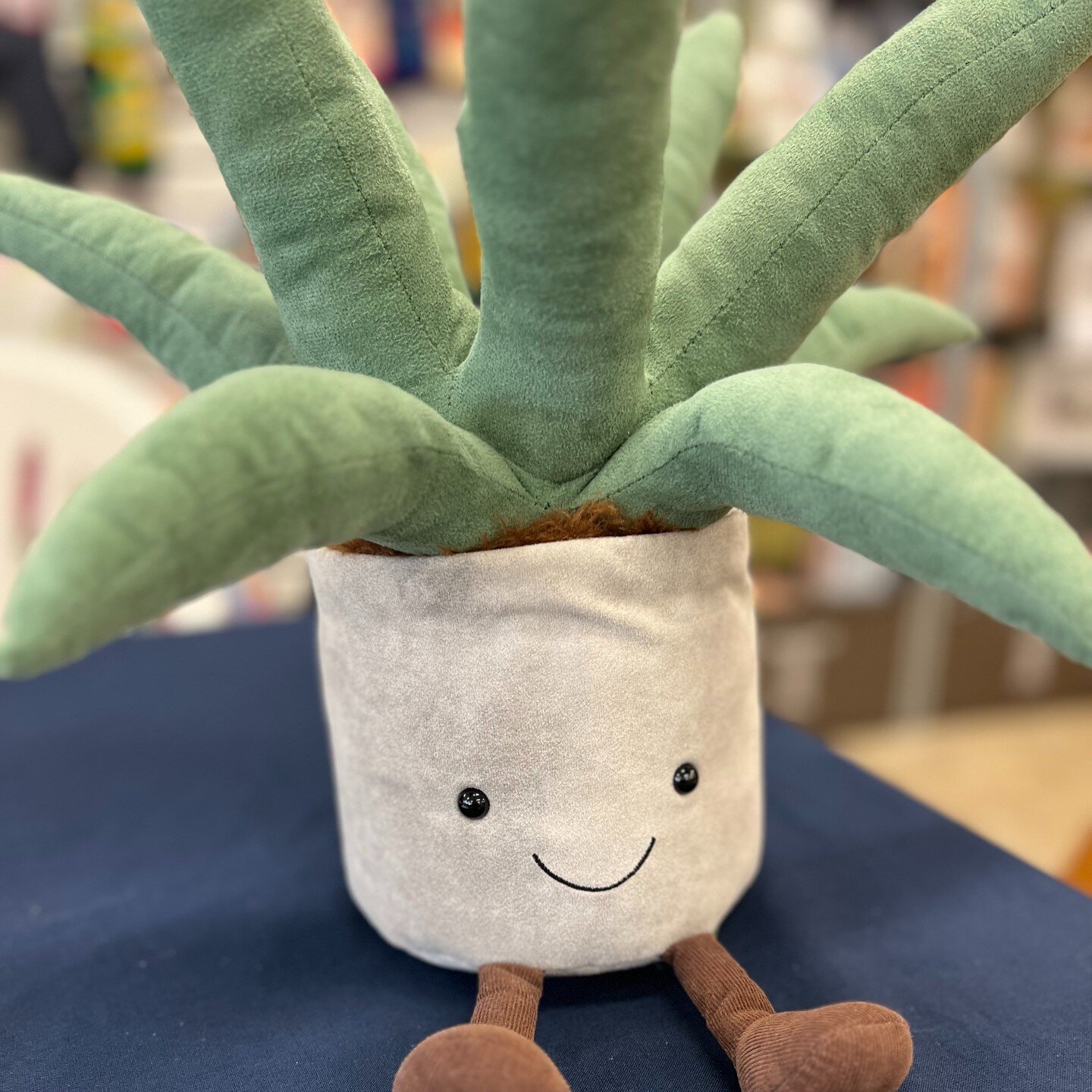 Introducing Agave (pronouns: they/them). We met Agave at the first stop of the book tour in Mystic, CT, at @banksquarebooks. 
They have been on tour with us since, a most-fitting mascot for my new book, Nurture: How to Raise Kids Who Love Food, Their