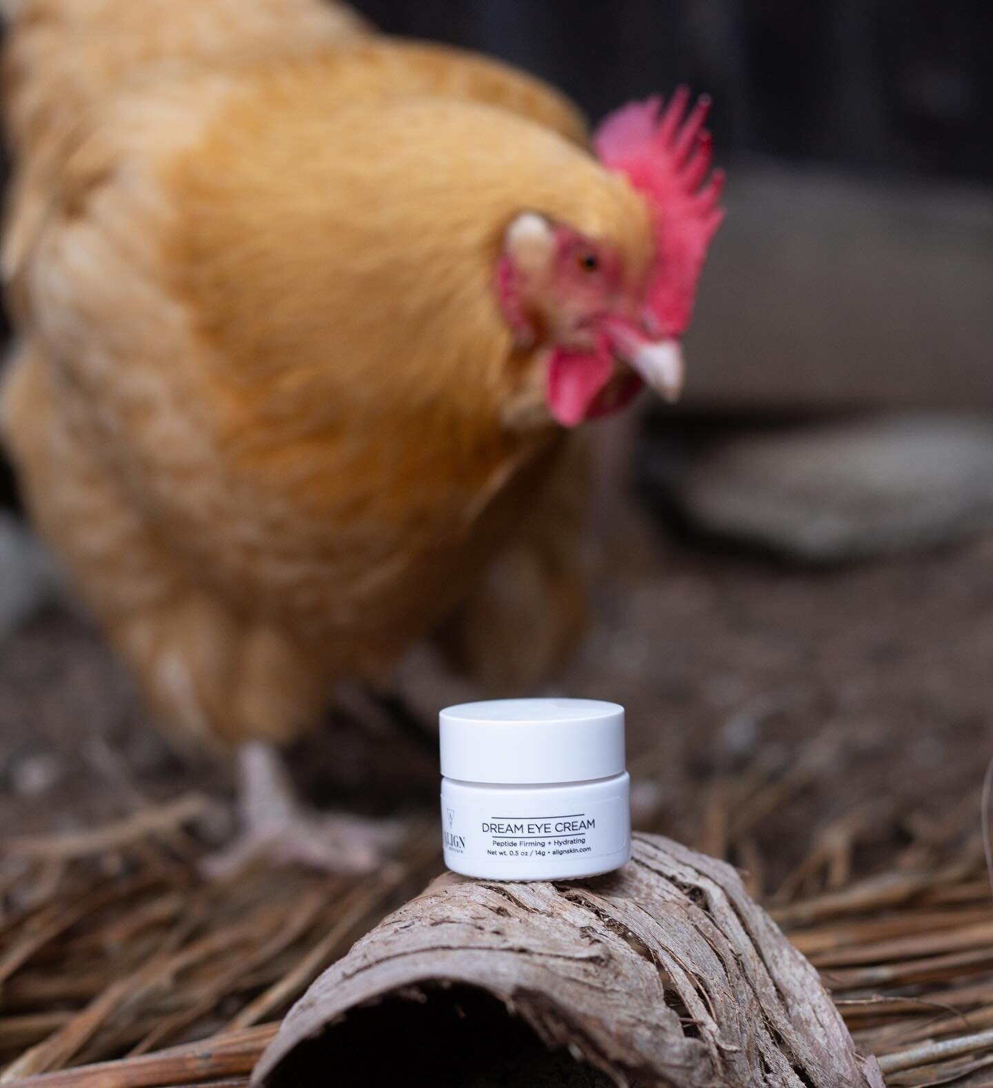 ✨FIRMER, BRIGHTER WITH RENEWED ELASTICITY✨

🐓Don&rsquo;t be a CHICKEN try our ✨DREAM EYE CREAM✨ because it feels God given! 🐓
This product reduces the appearance of fine lines, wrinkles and chicken feet- I mean crow&rsquo;s feet, making your skin f