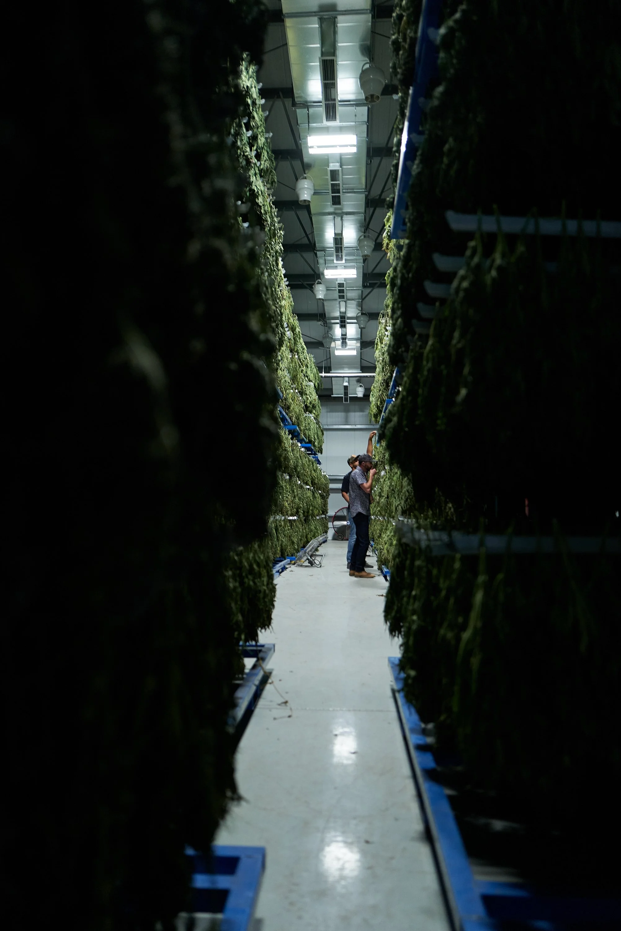  That’s a lot of fire 