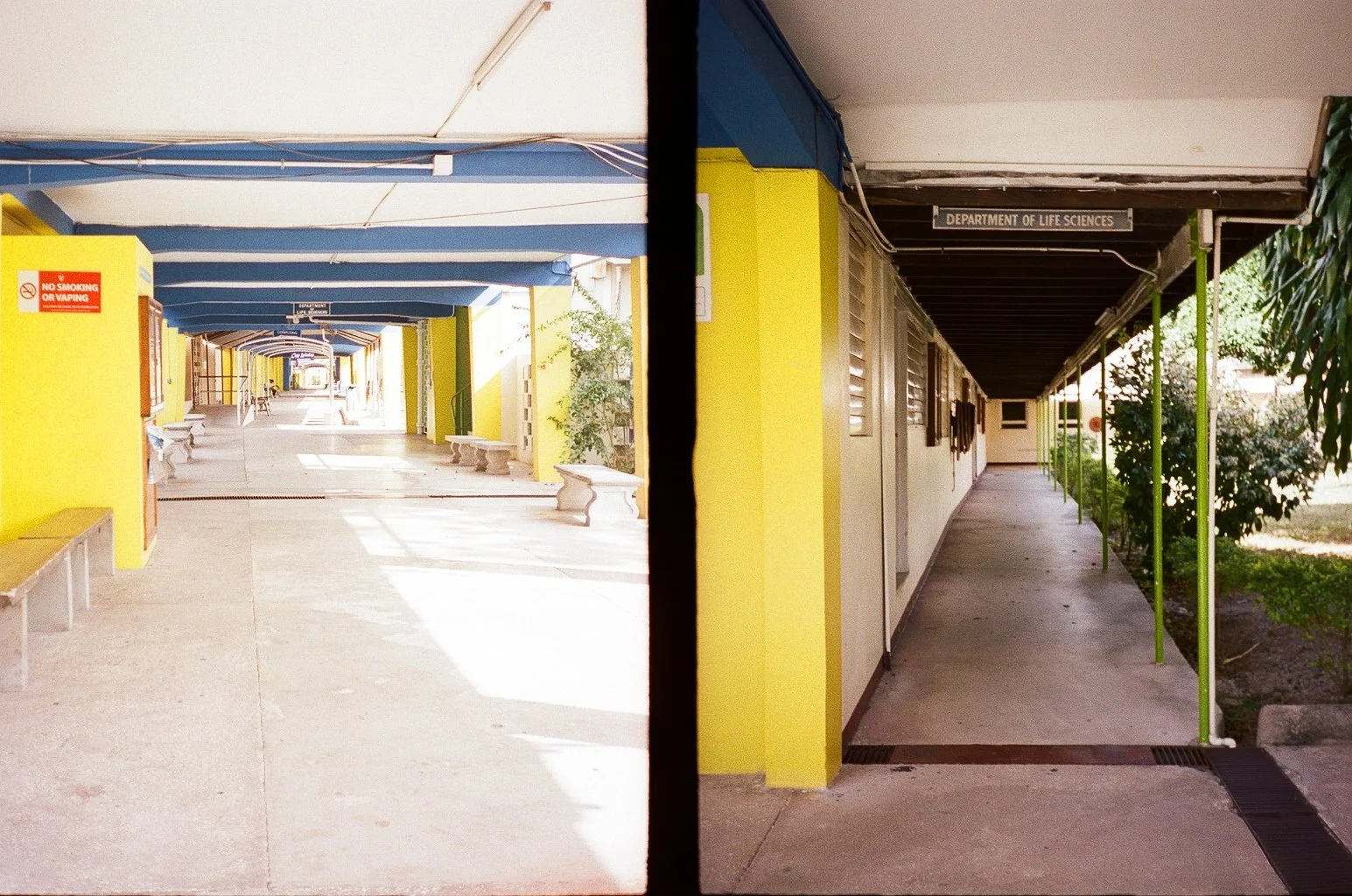  Canon Demi half frame - University of Kingston 