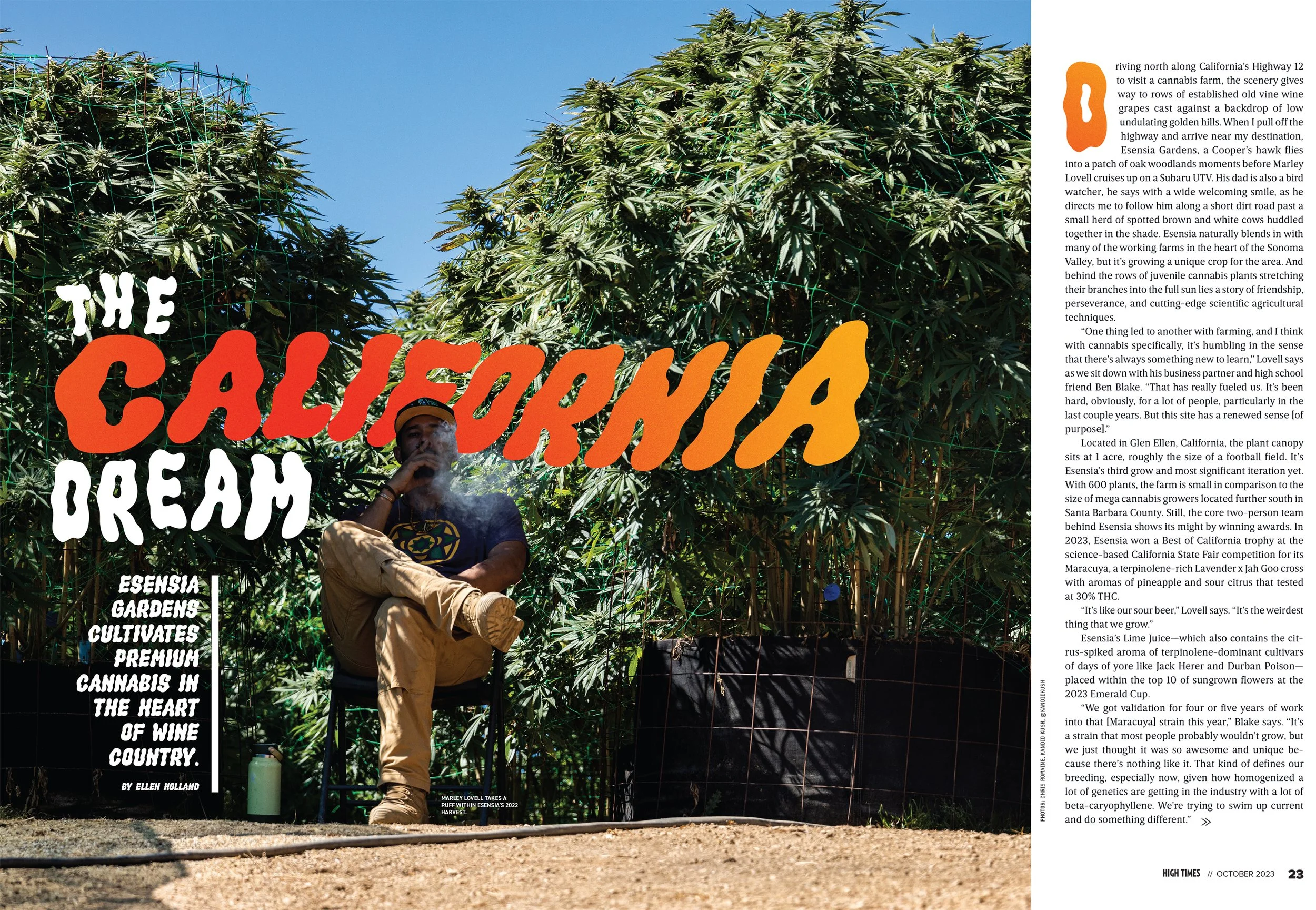  Written by Ellen Holland HT Editor in Chief 