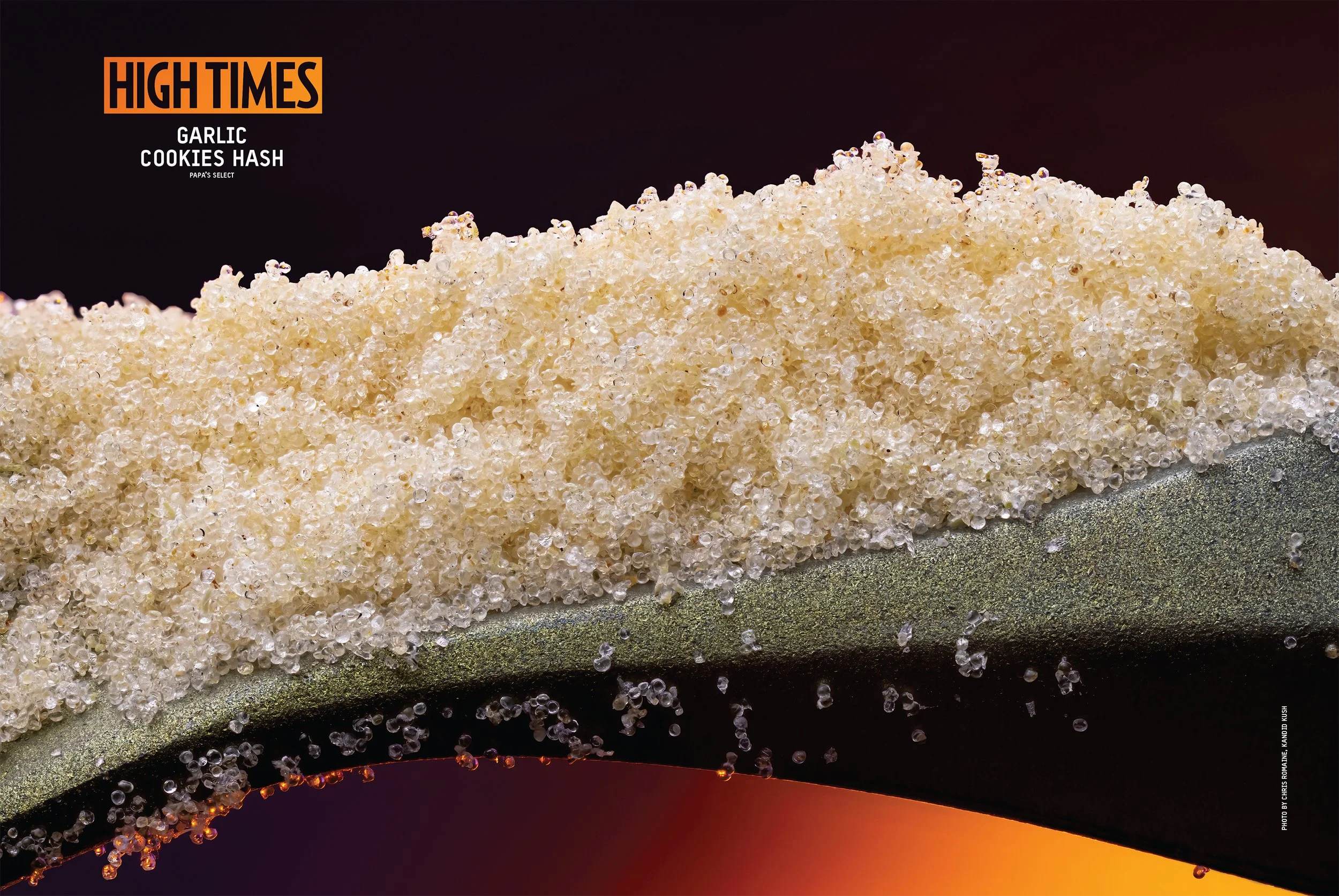  Garlic Cookies Full Melt by  Papa Select  