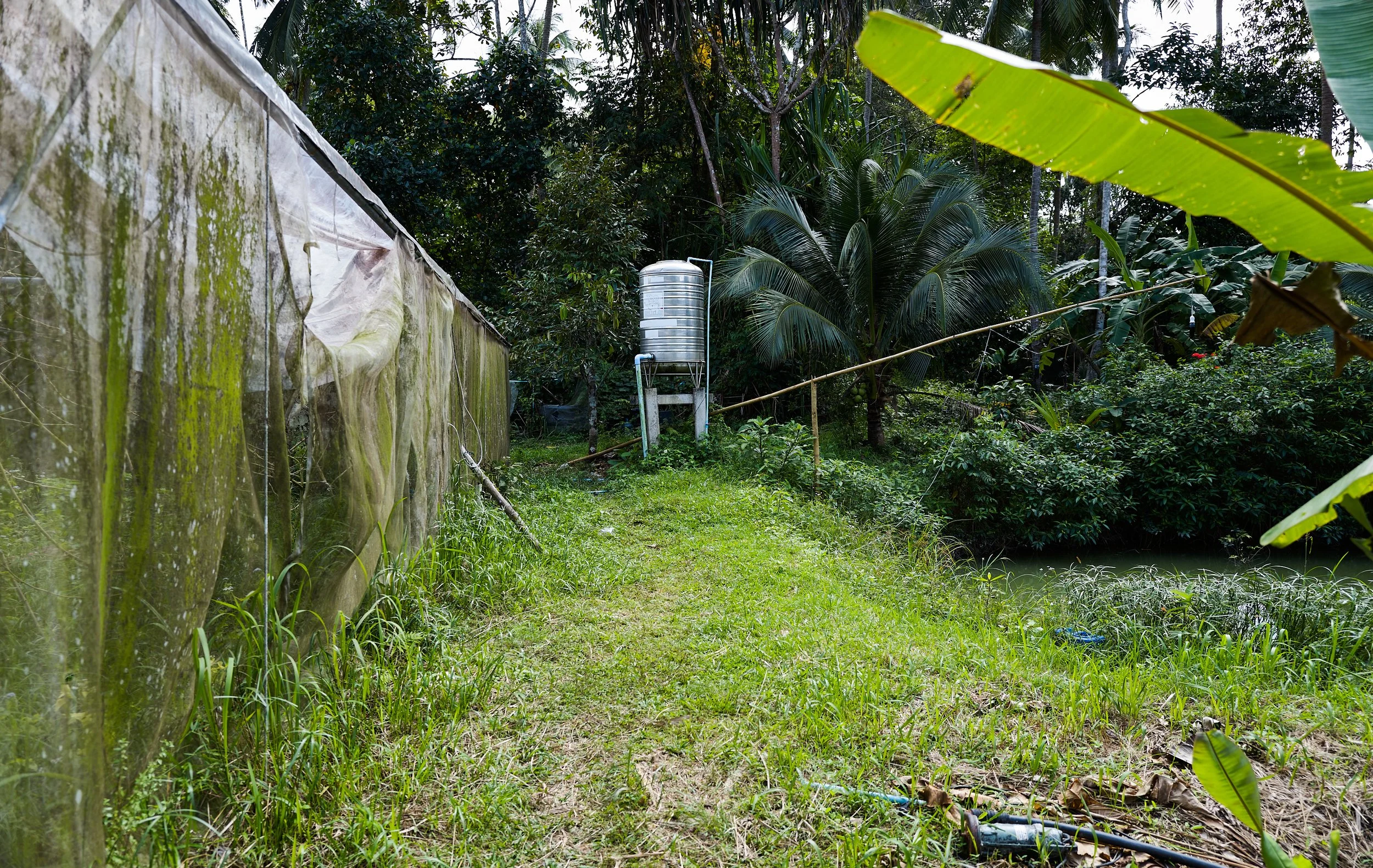  Greenhouse across the way  