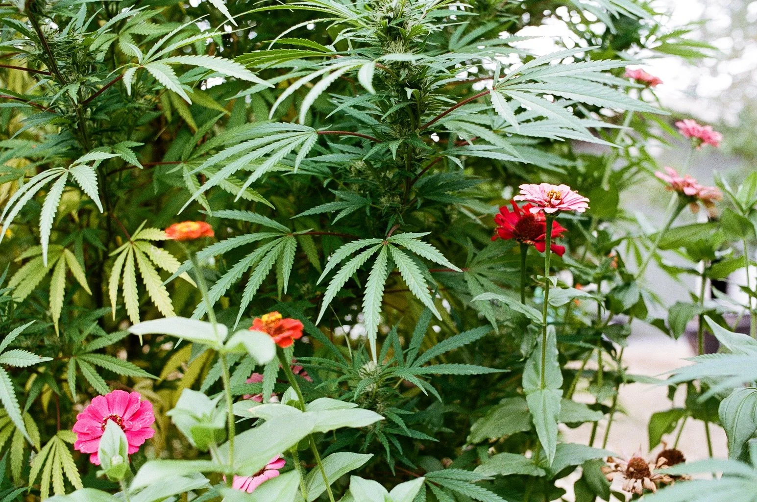 9346_05A.jpg