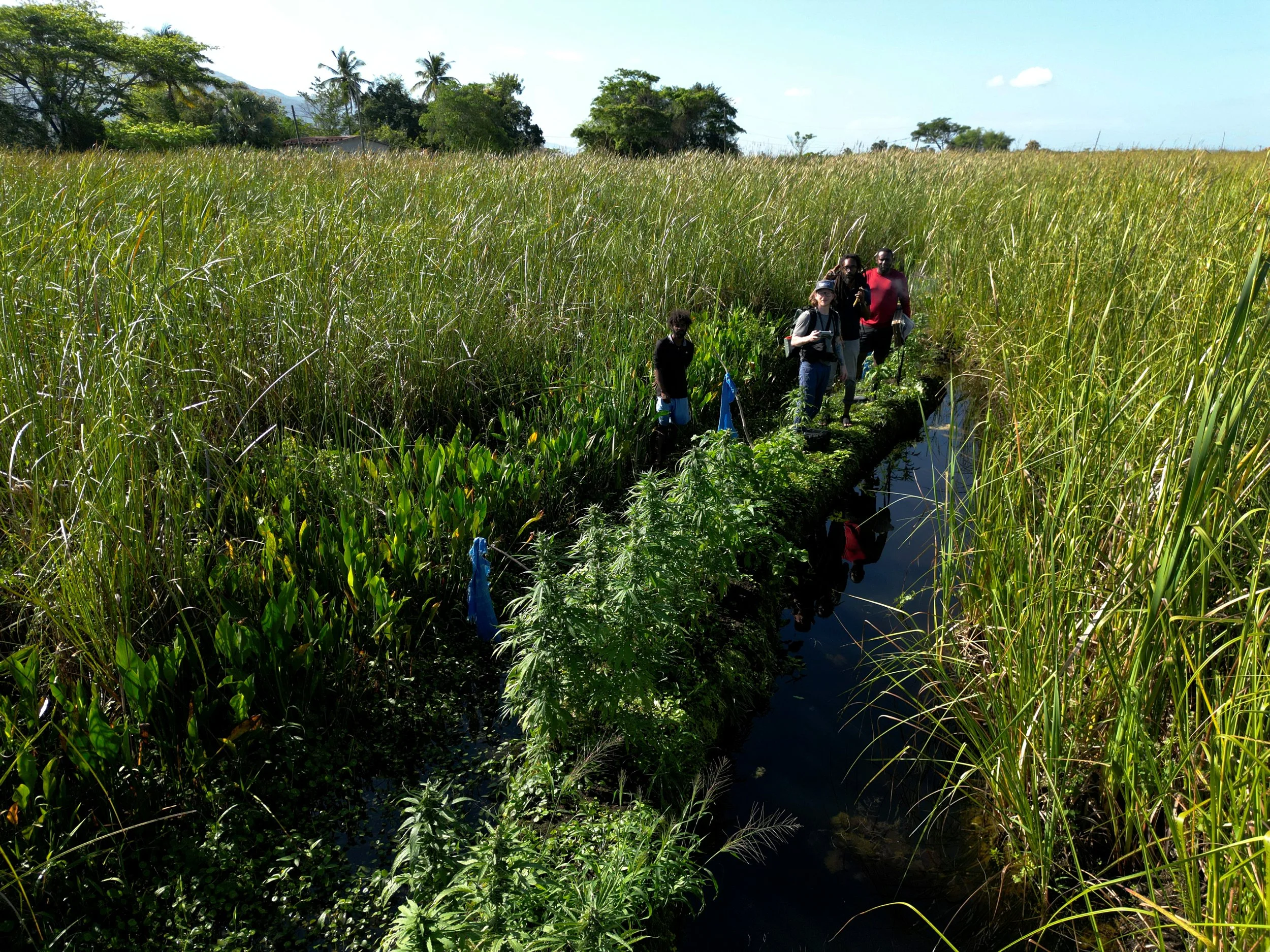  DJI Mini 3 - Black River Morass  