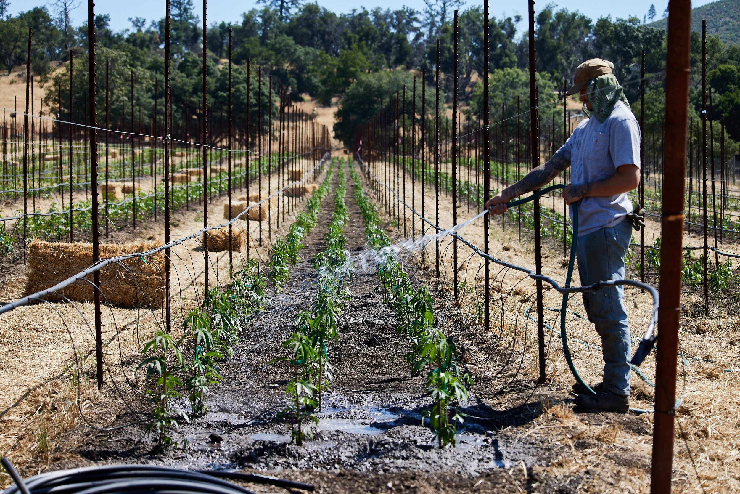  Their new Sonoma property 