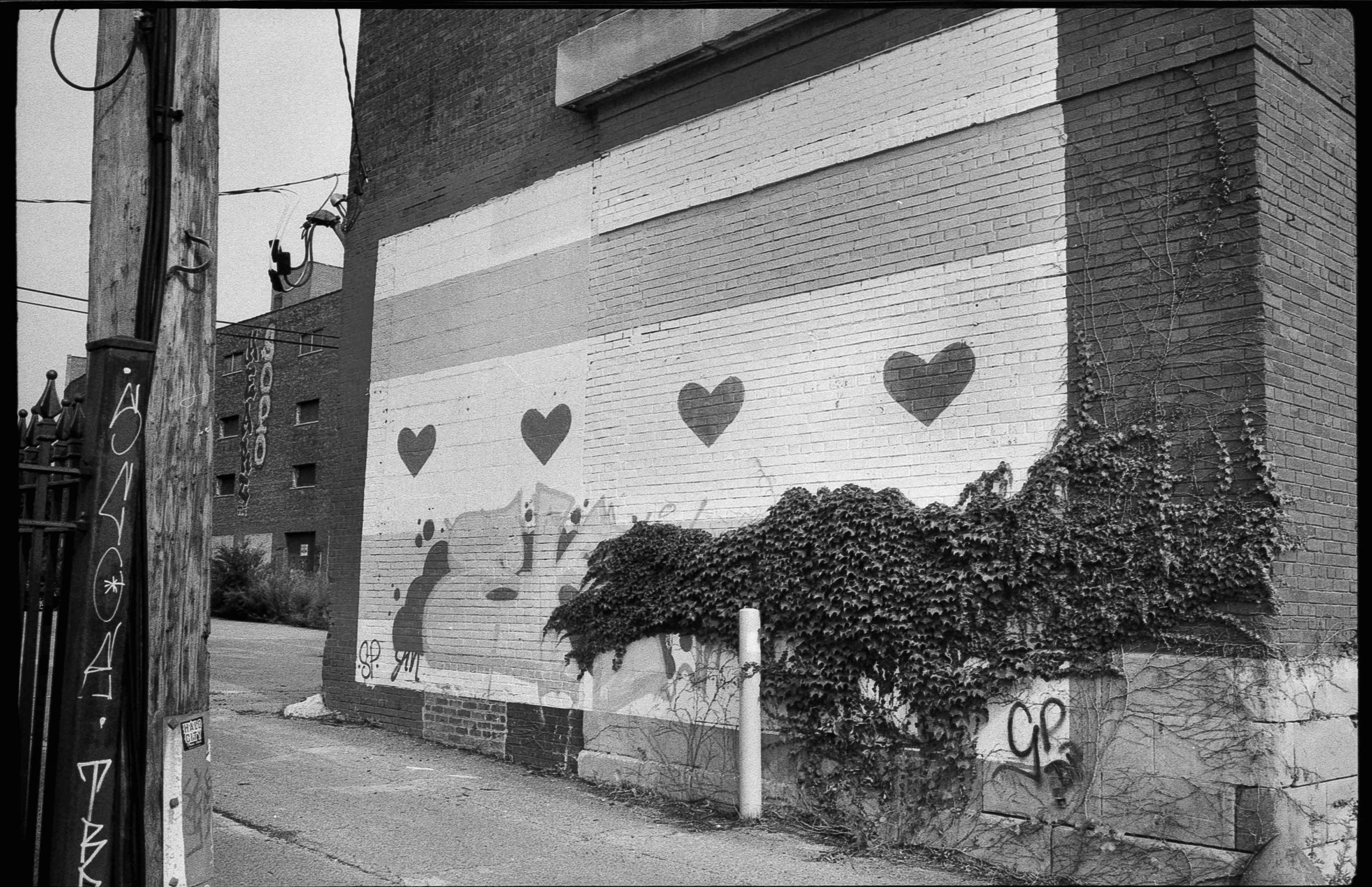20241103-hp5_32.jpg