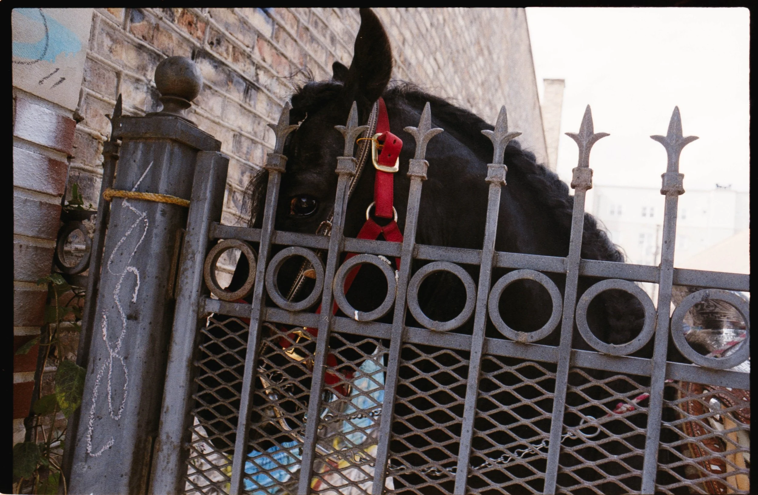 Chicago - August, 2025.