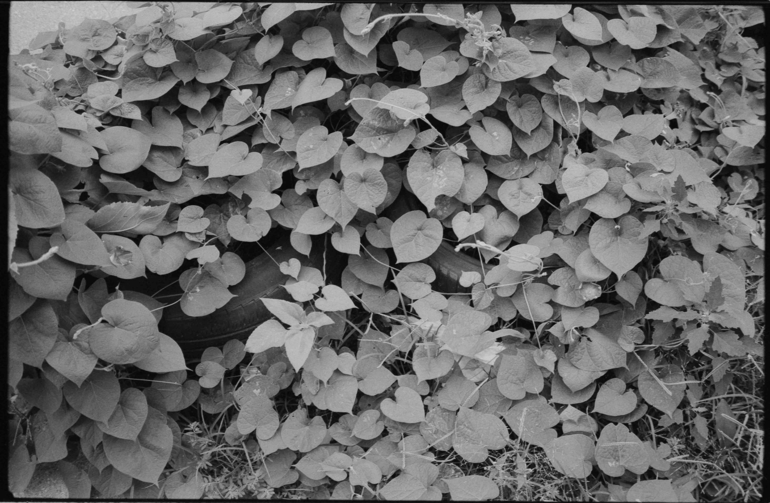 20241104-hp5_30.jpg