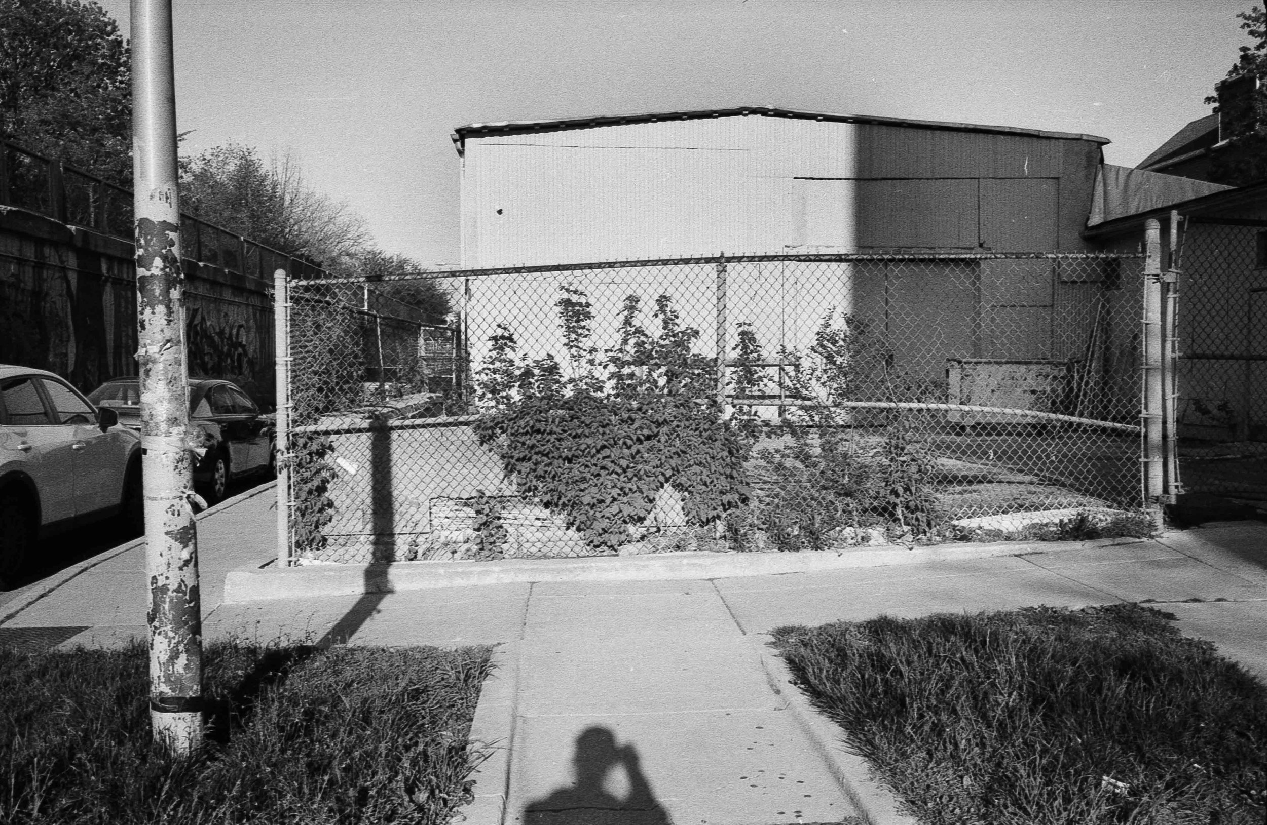 20240602-hp5_1.jpg