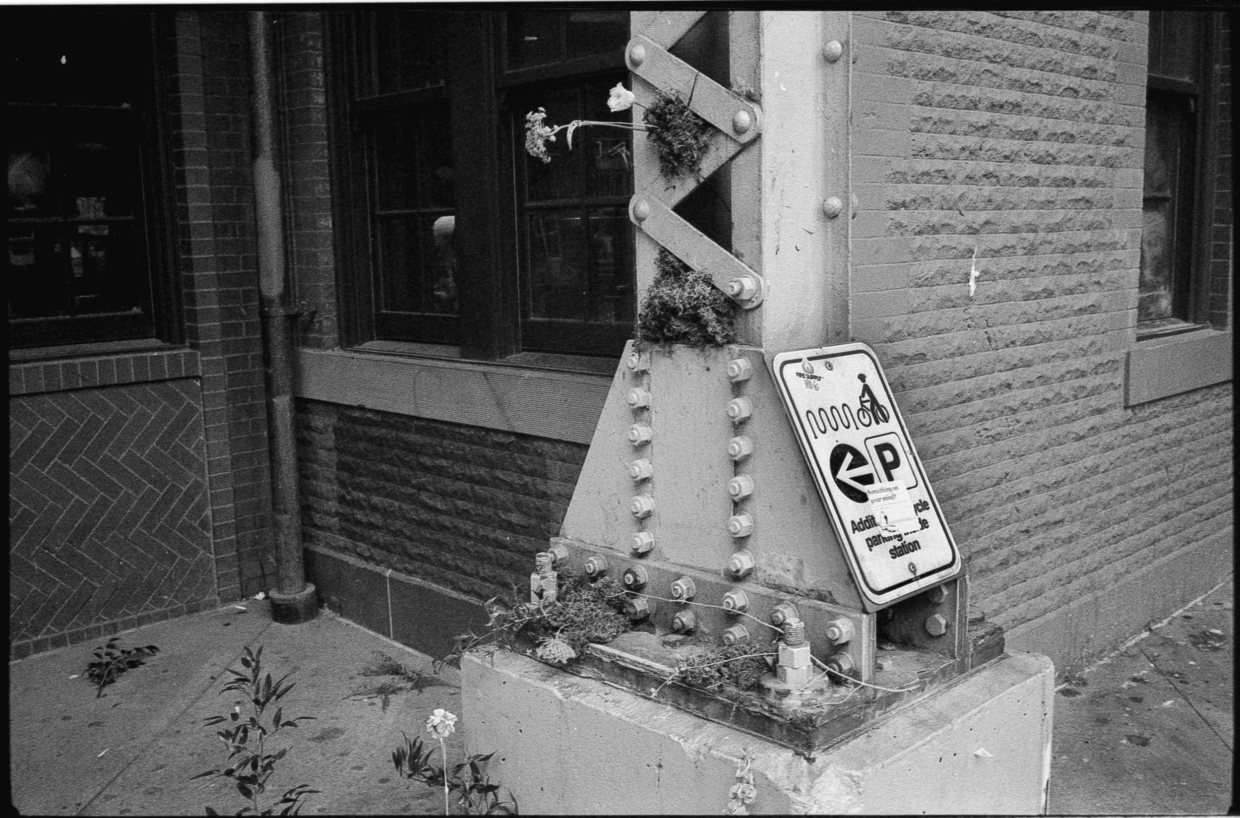 20240414-hp5+1_27.jpg