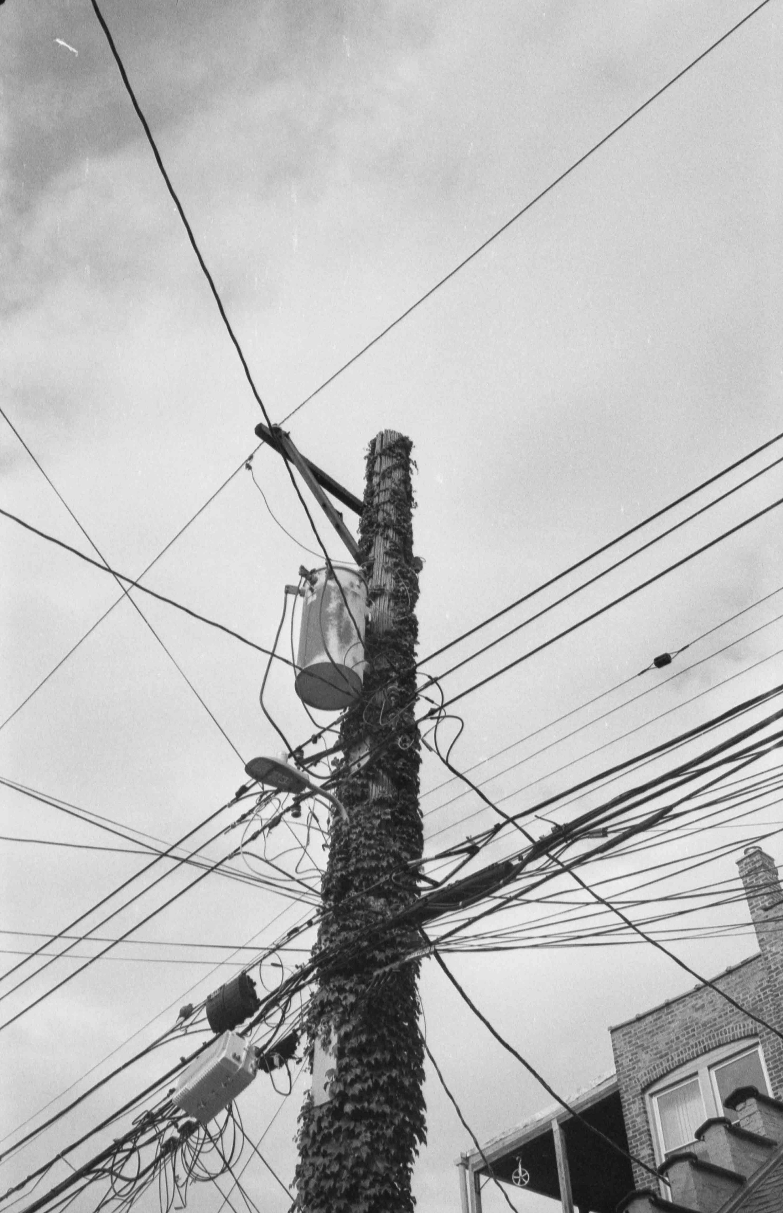 20230910-hp5p1_16.jpg