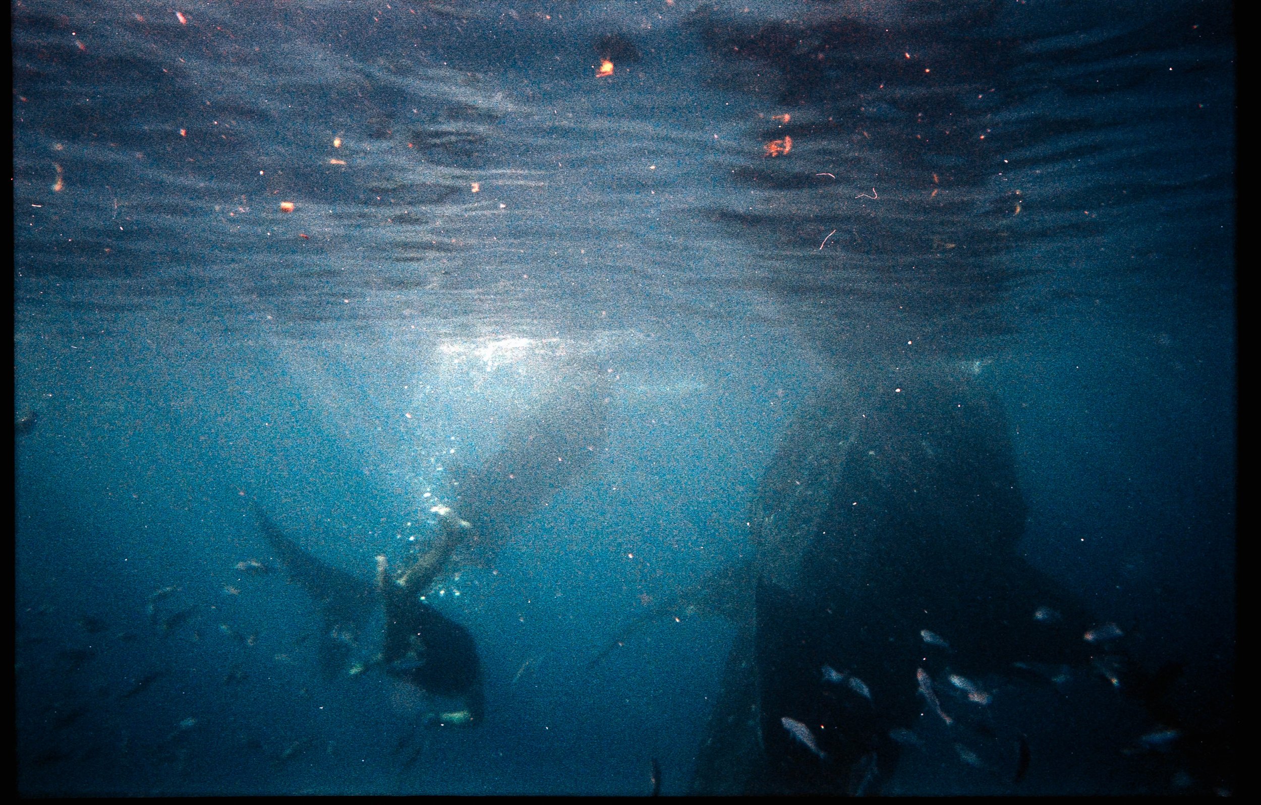 20250414-kodak800_25.jpg