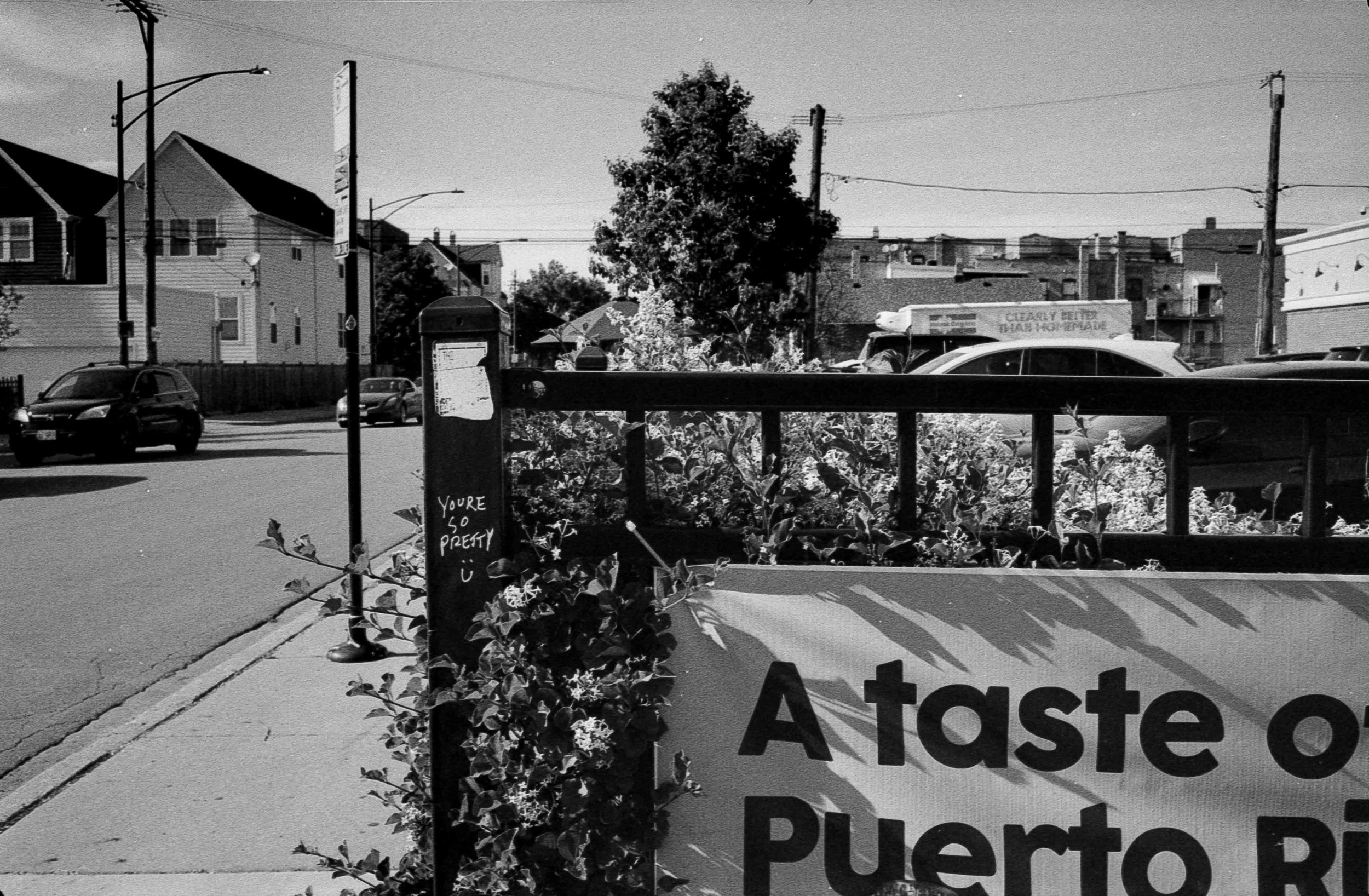 20240906-hp5+2_24.jpg