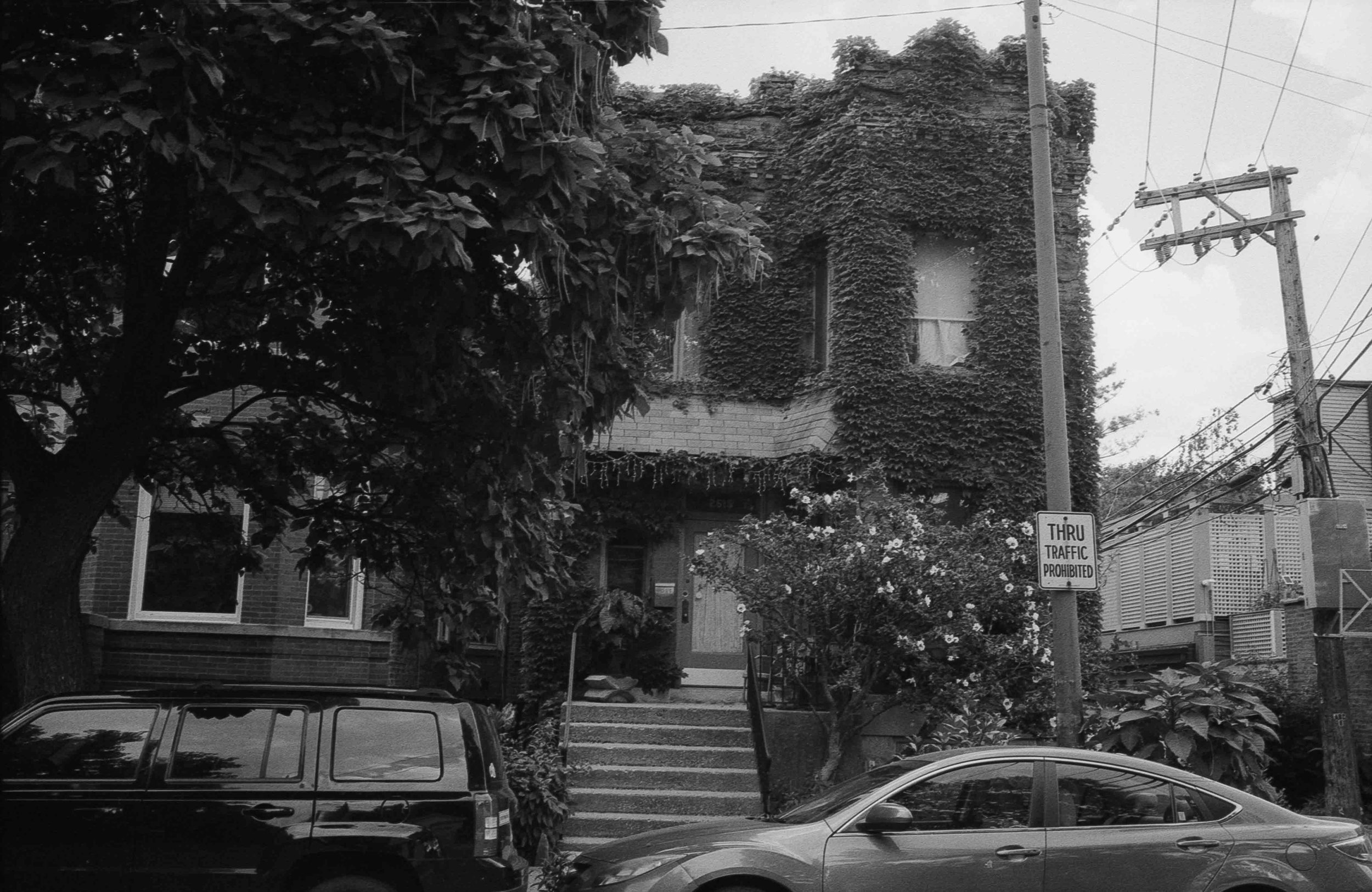 20240906-hp5_33.jpg