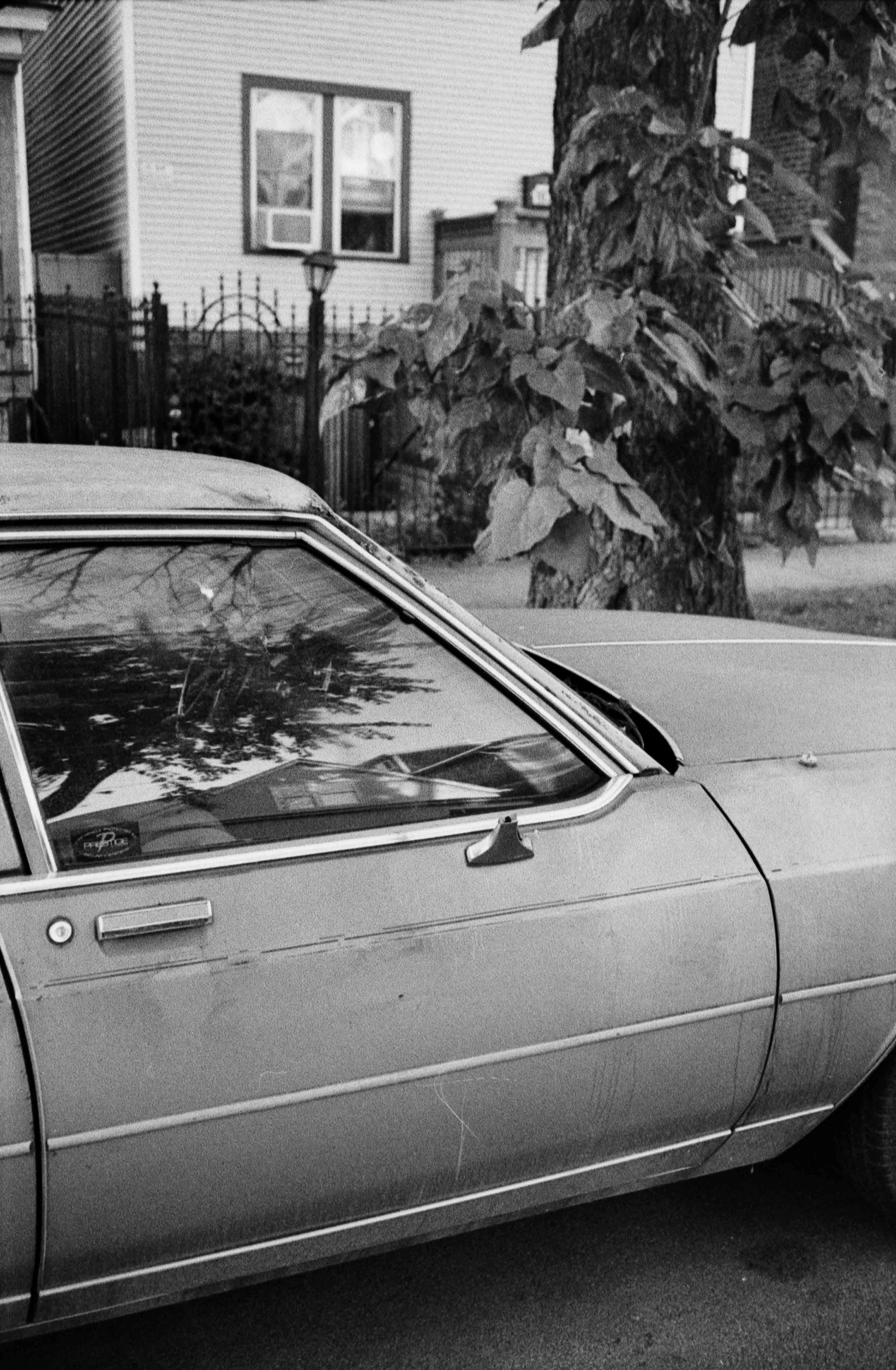 20231020-hp5+2_34.jpg