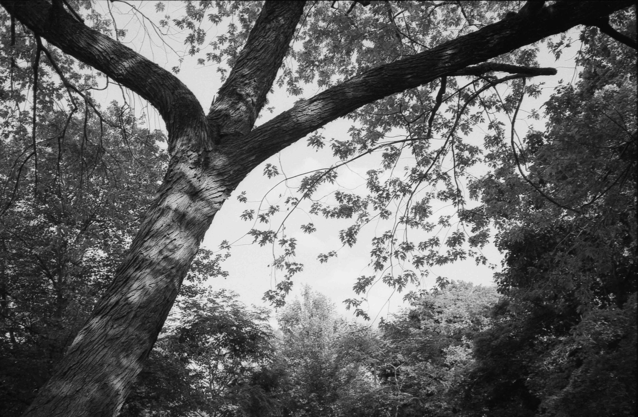 20240804-hp5_8.jpg