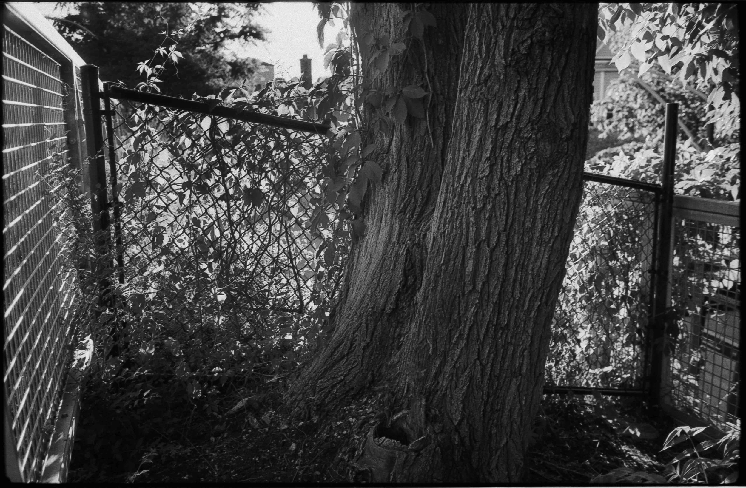 20240804-hp5_30.jpg