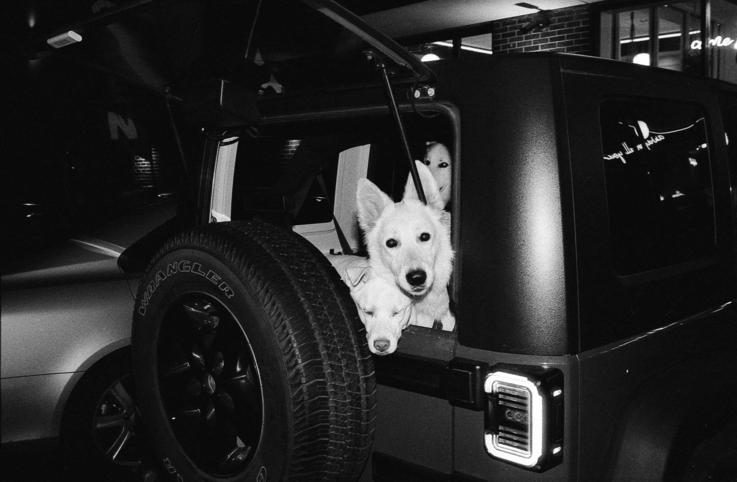 20240303-hp5_12.jpg