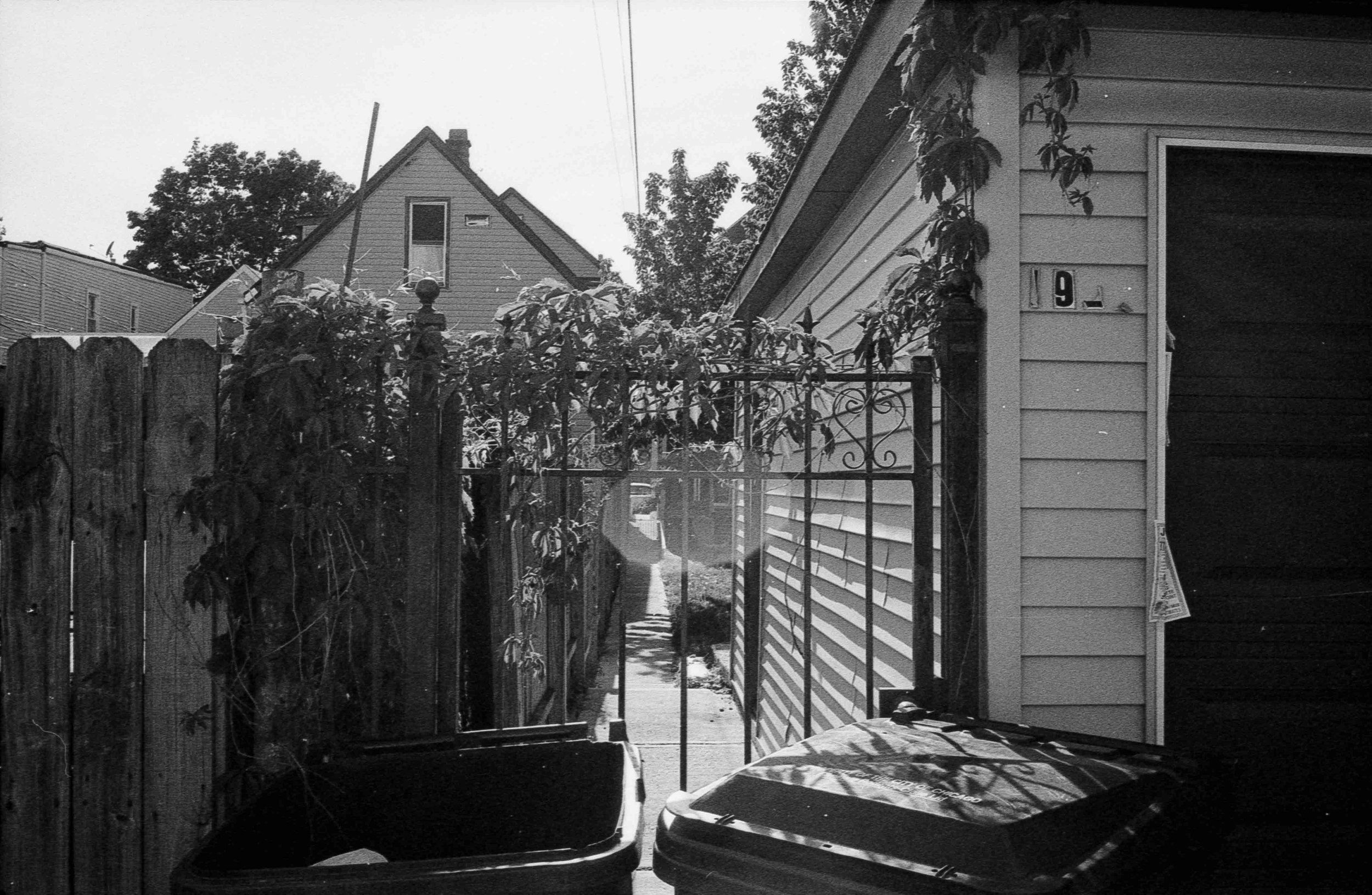 20240906-hp5+2_25.jpg