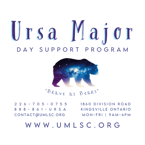 Ursa Major Day Support: Empowering Adults with Disabilities